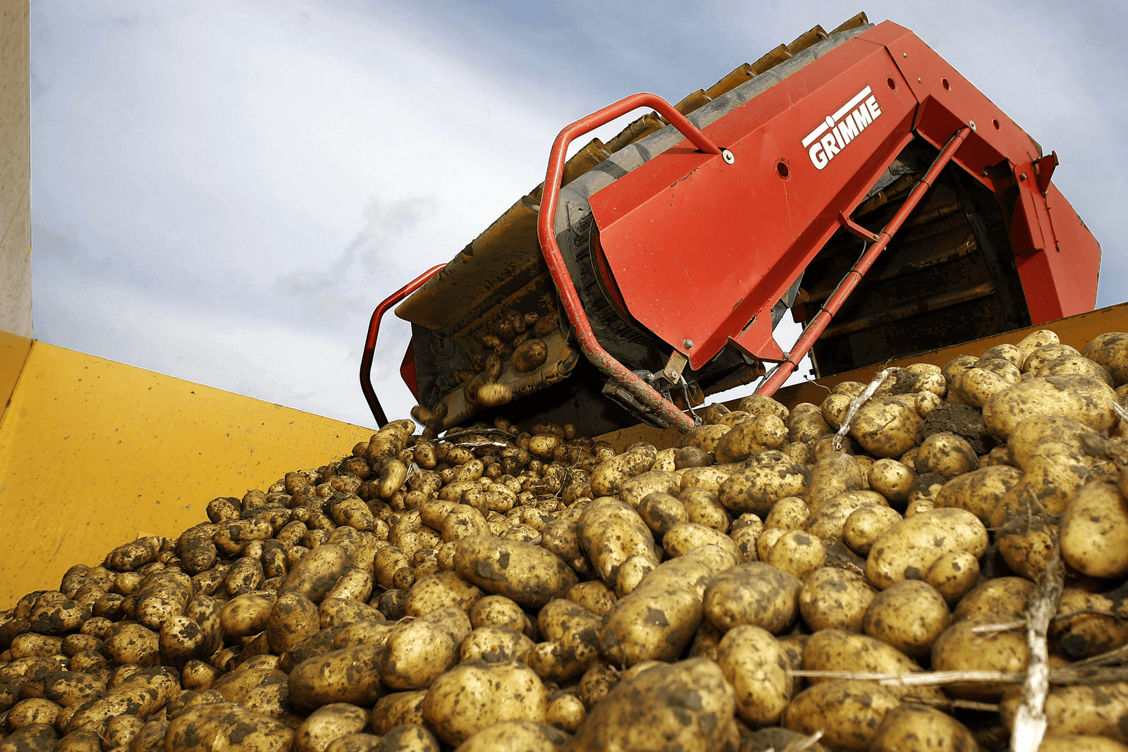 De onthulling dat in de biologische aardappelteelt oneigenlijk gebruik is gemaakt van koperhoudende middelen, dreunt nog altijd na in deze sector. - Foto: Ronald Hissink