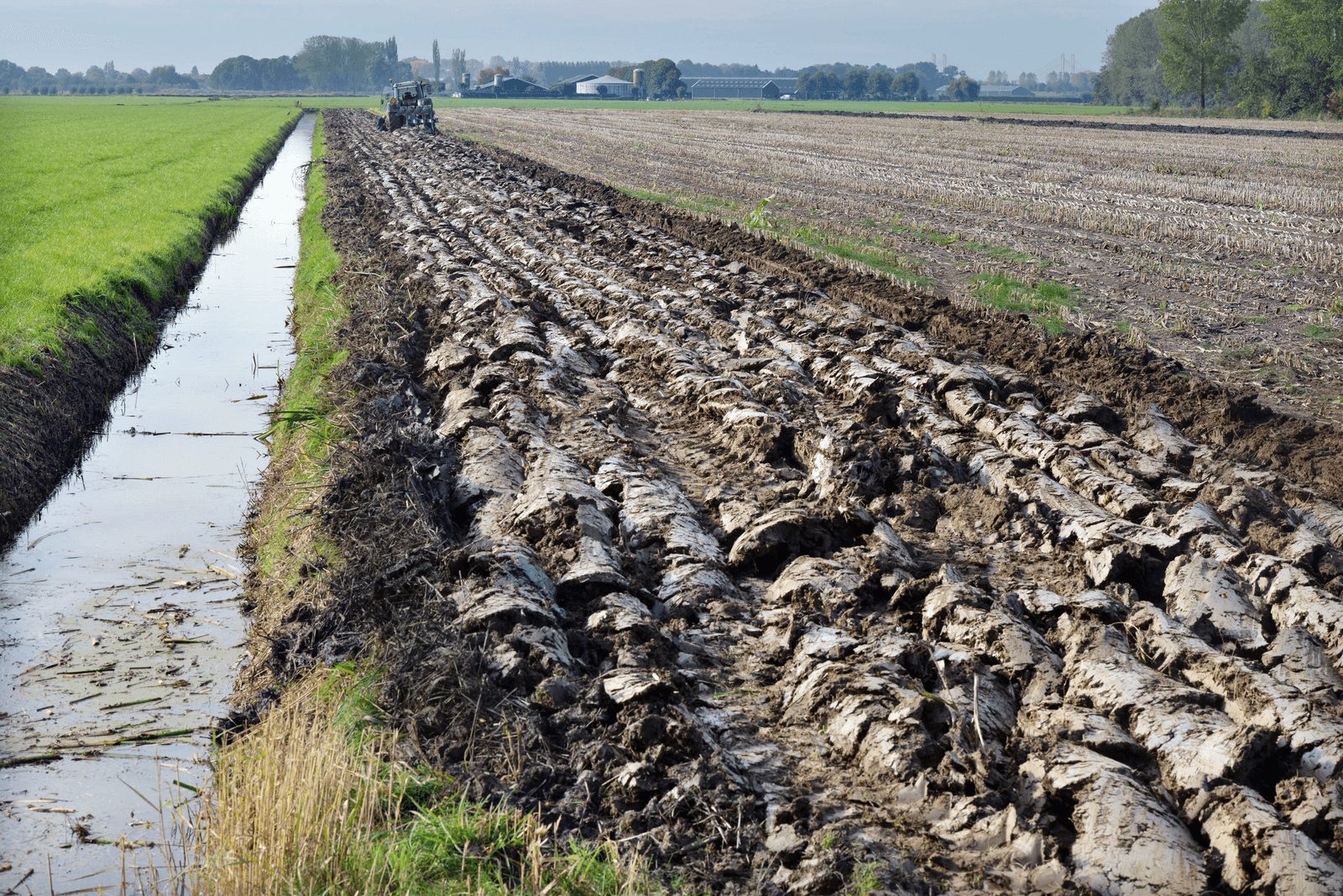 Foto: William Hoogteyling