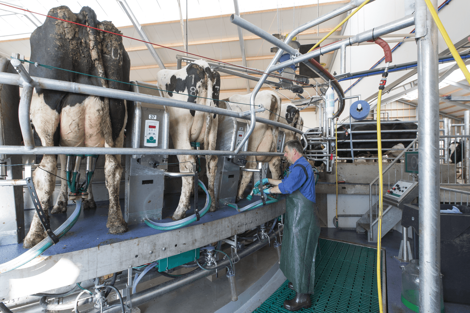 Zuivel kan leren van omgaan met volatiliteit bij olie en graan - Foto: Anne van der Woude
