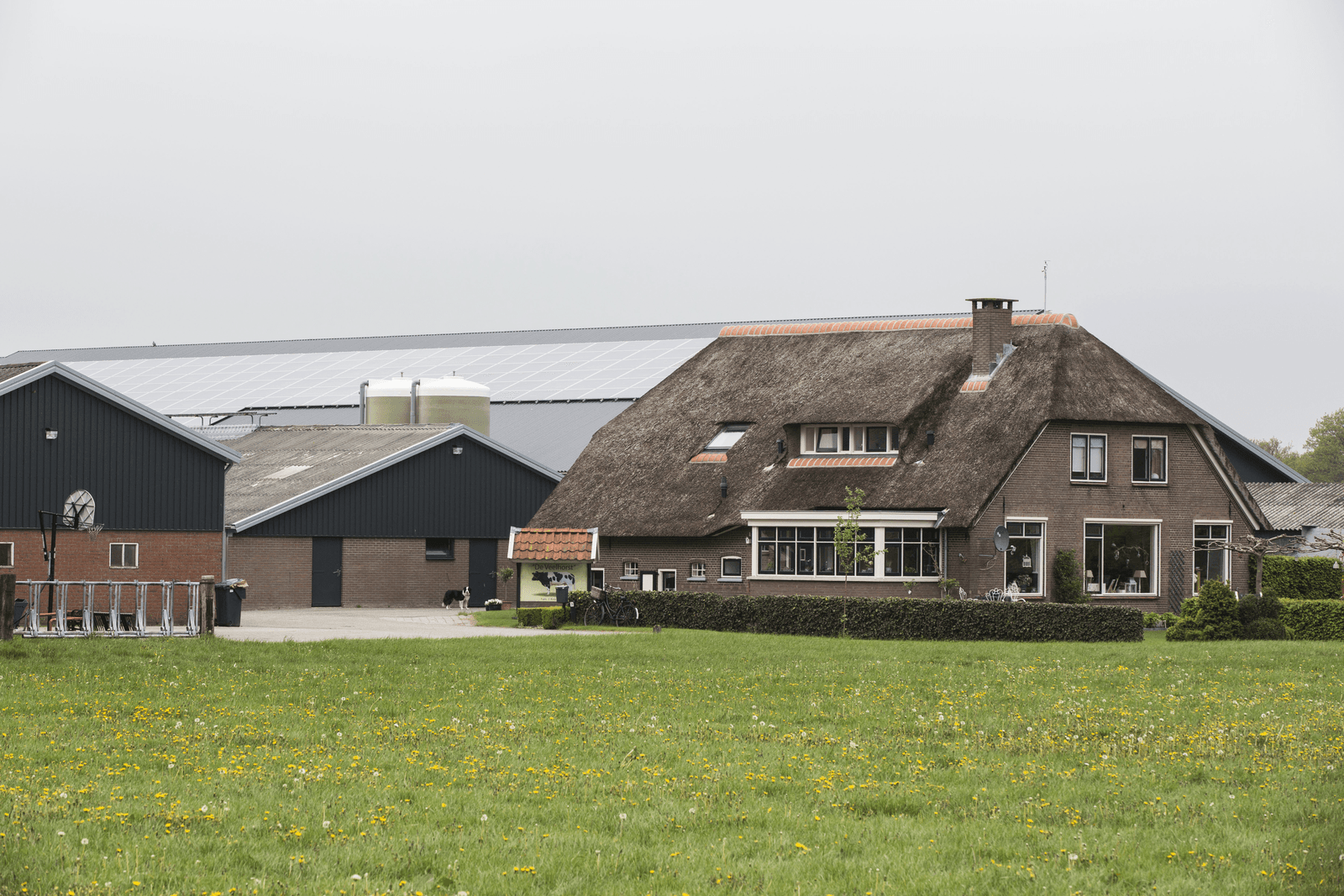 Na groei moeten ondernemers zich volgens Rabobank richten op optimalisering - Foto: Koos Groenewold