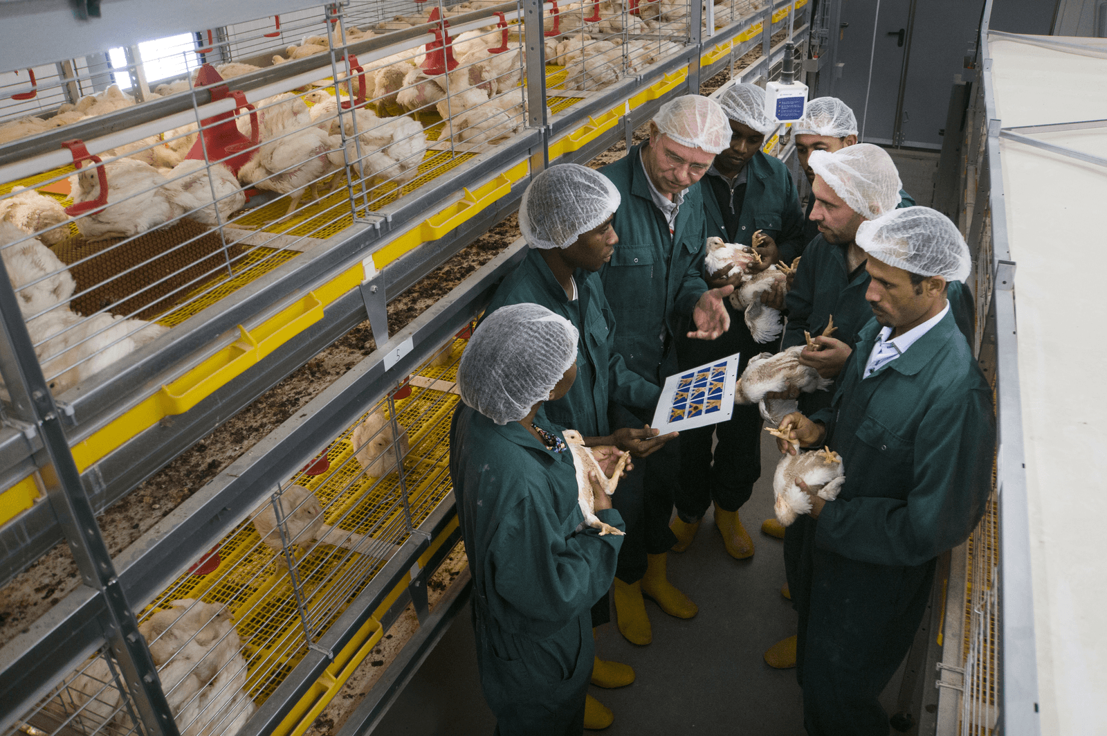 Poultry Innovation Lab officieel geopend - Foto: Jan Pit
