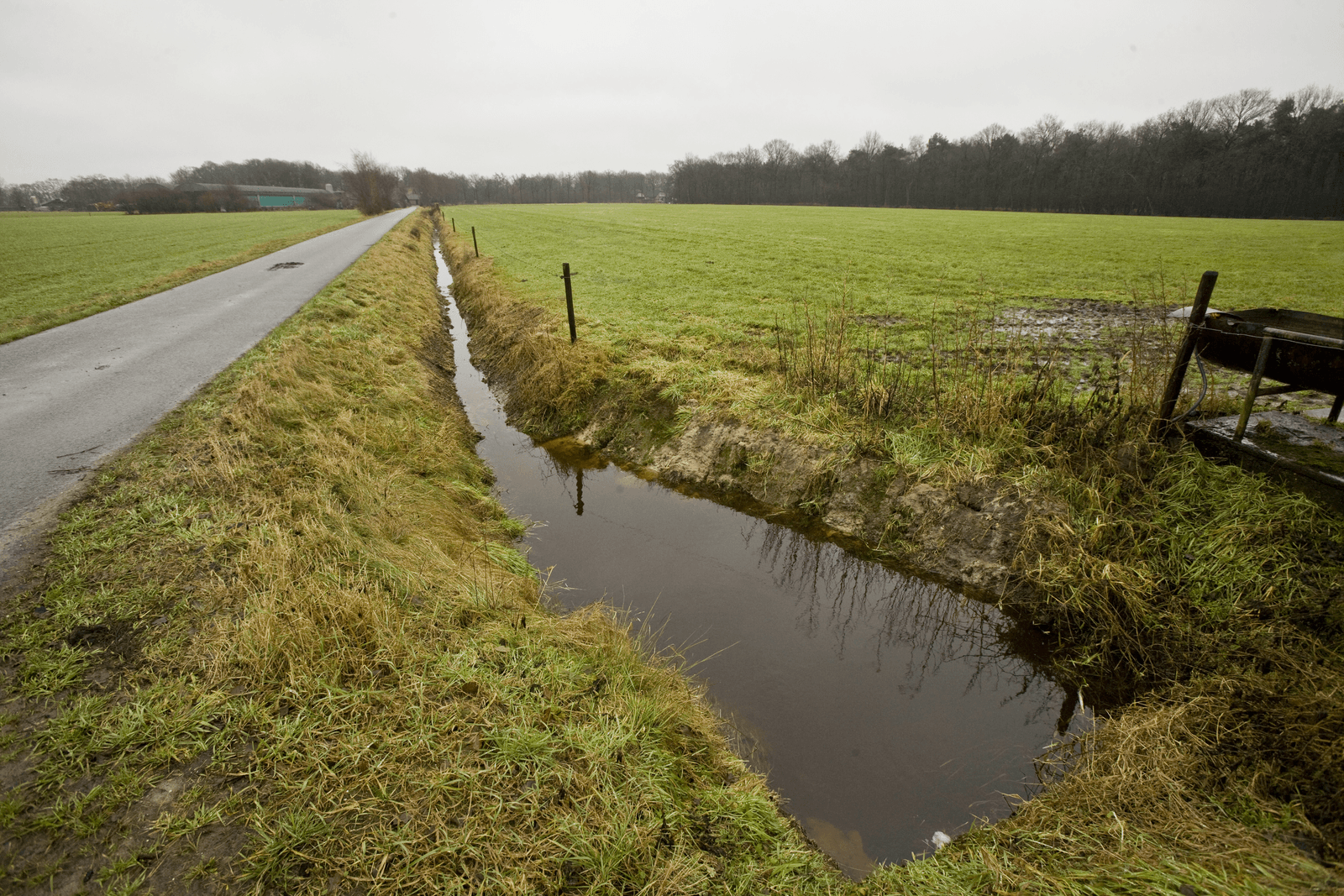 Tevredenheid over stikstofaanpak - Foto: Koos Groenewold