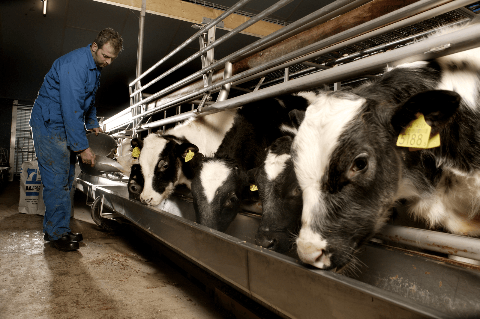 Maak btw-clausule in voergeldcontract - Foto: Hans Prinsen
