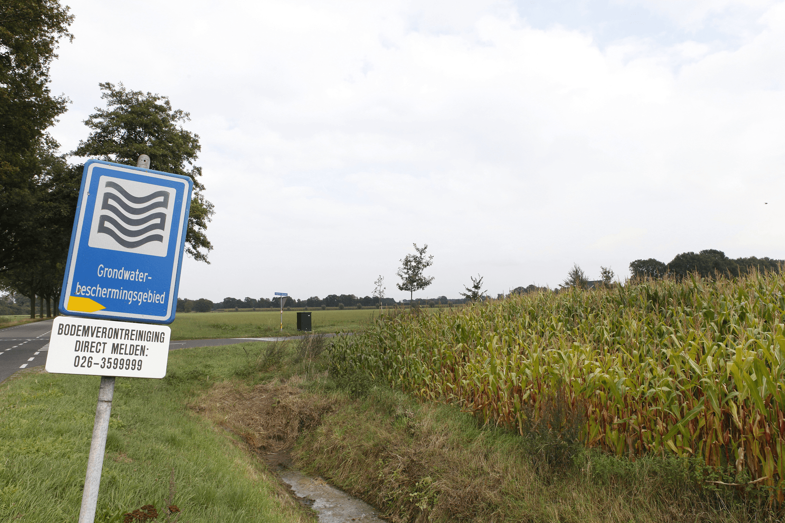 Foto: Hans Prinsen