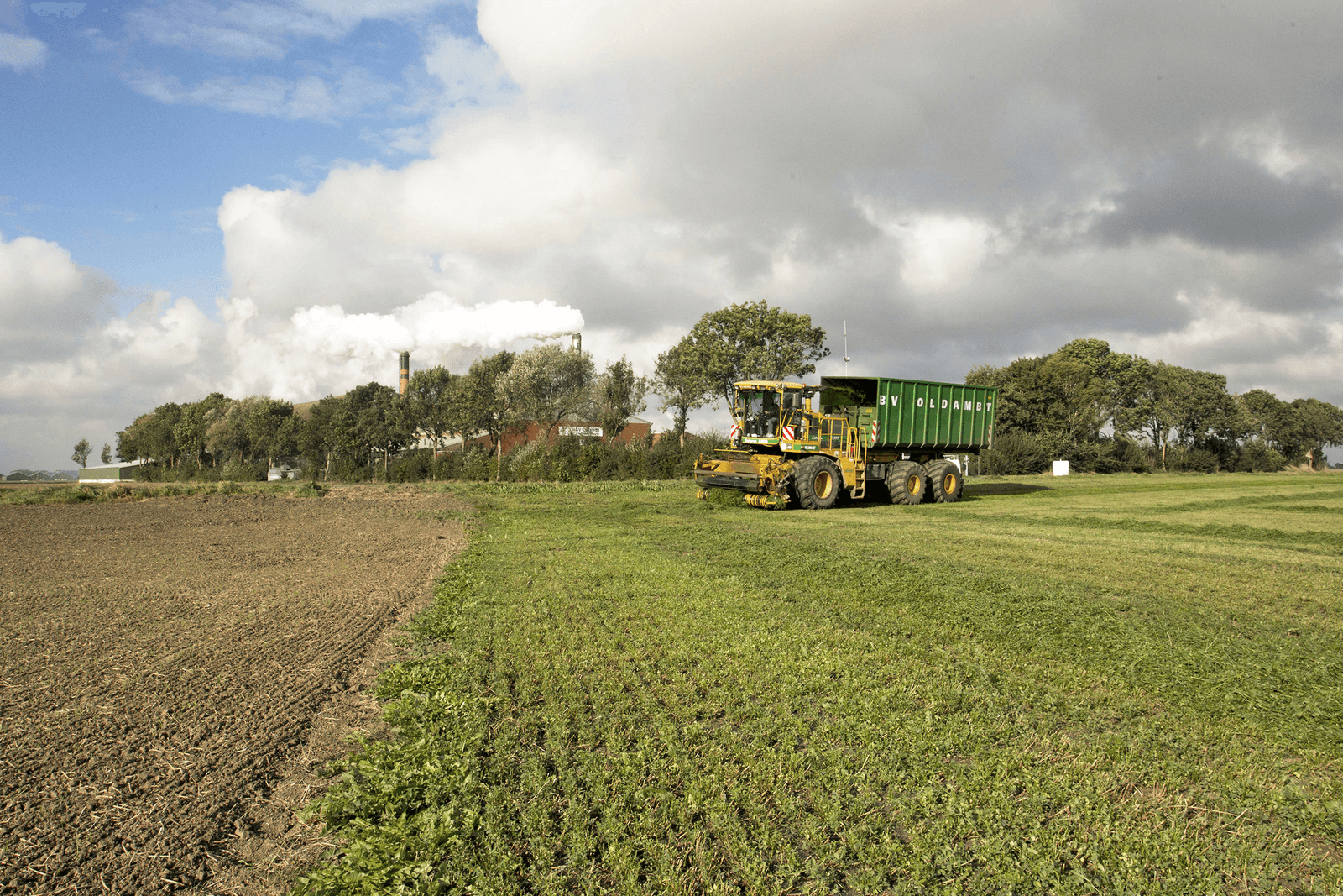 Mooi naseizoen voor groenvoerdrogerij - Foto: Koos van der Spek