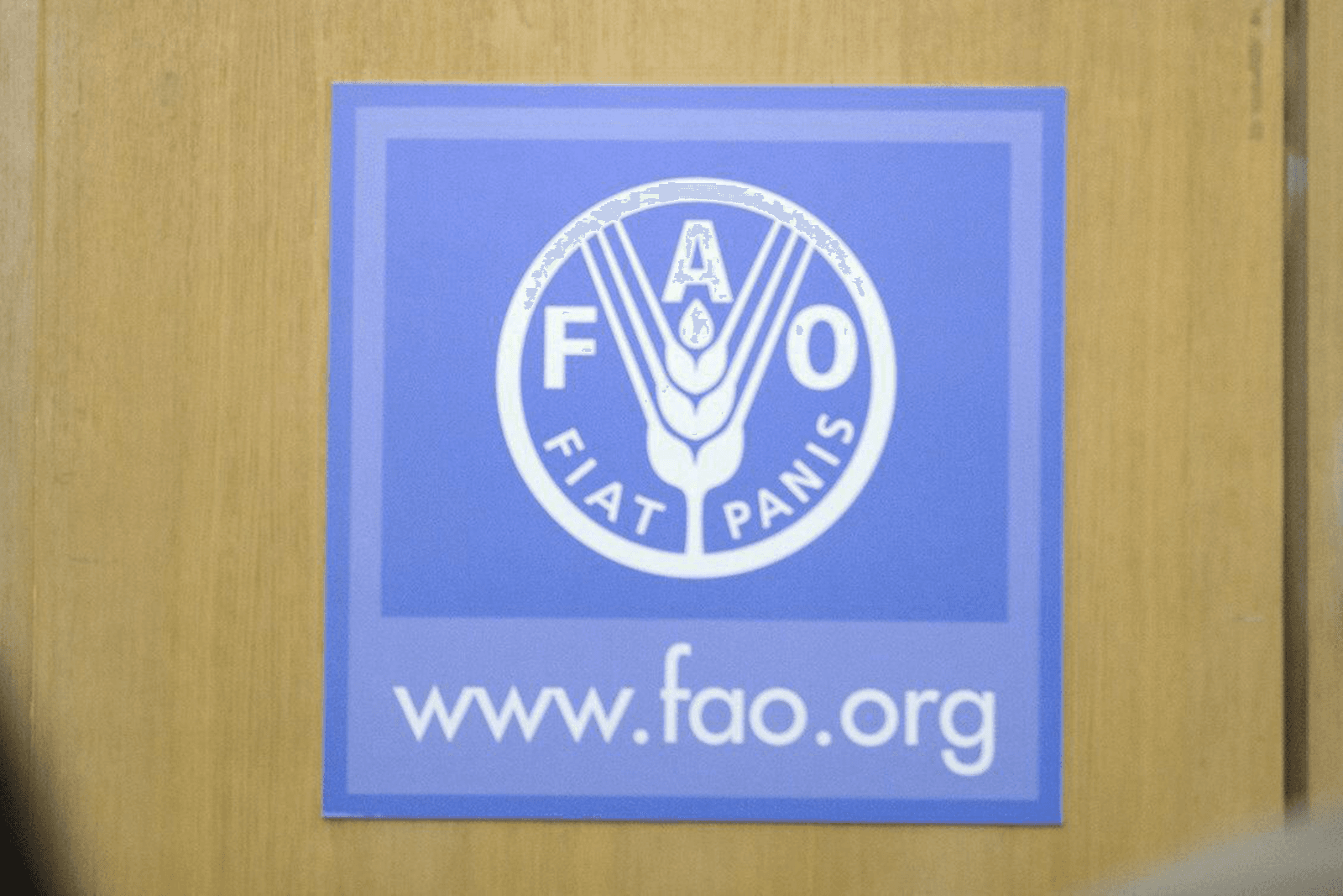 FAO: landbouw heeft dubbele taak bij klimaatverandering - Foto: EPA