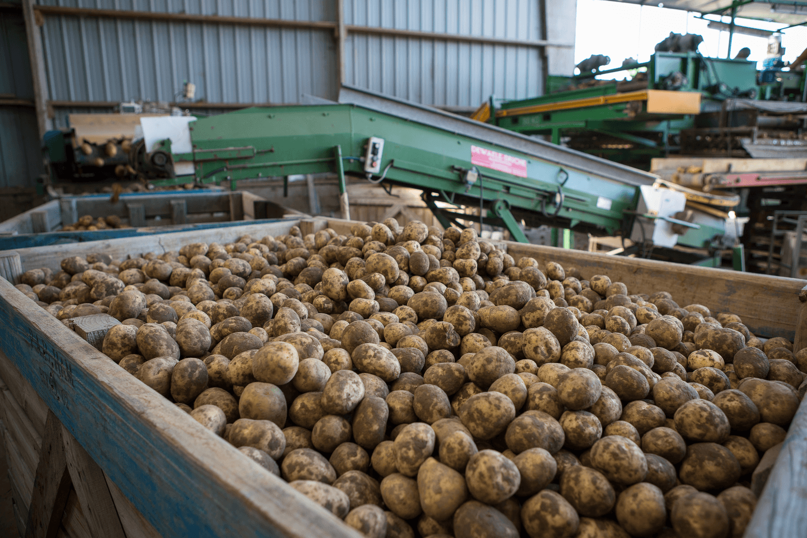 Franse aardappelsector kijkt terug op goed seizoen - Foto: Peter Roek