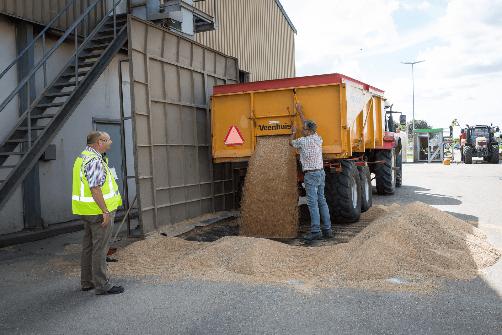 Tarwe inname bij CZAV Wemeldingen. Volgens het CBS valt de tarwe-oogst 20% lager uit dan vorig jaar - Foto: Peter Roek