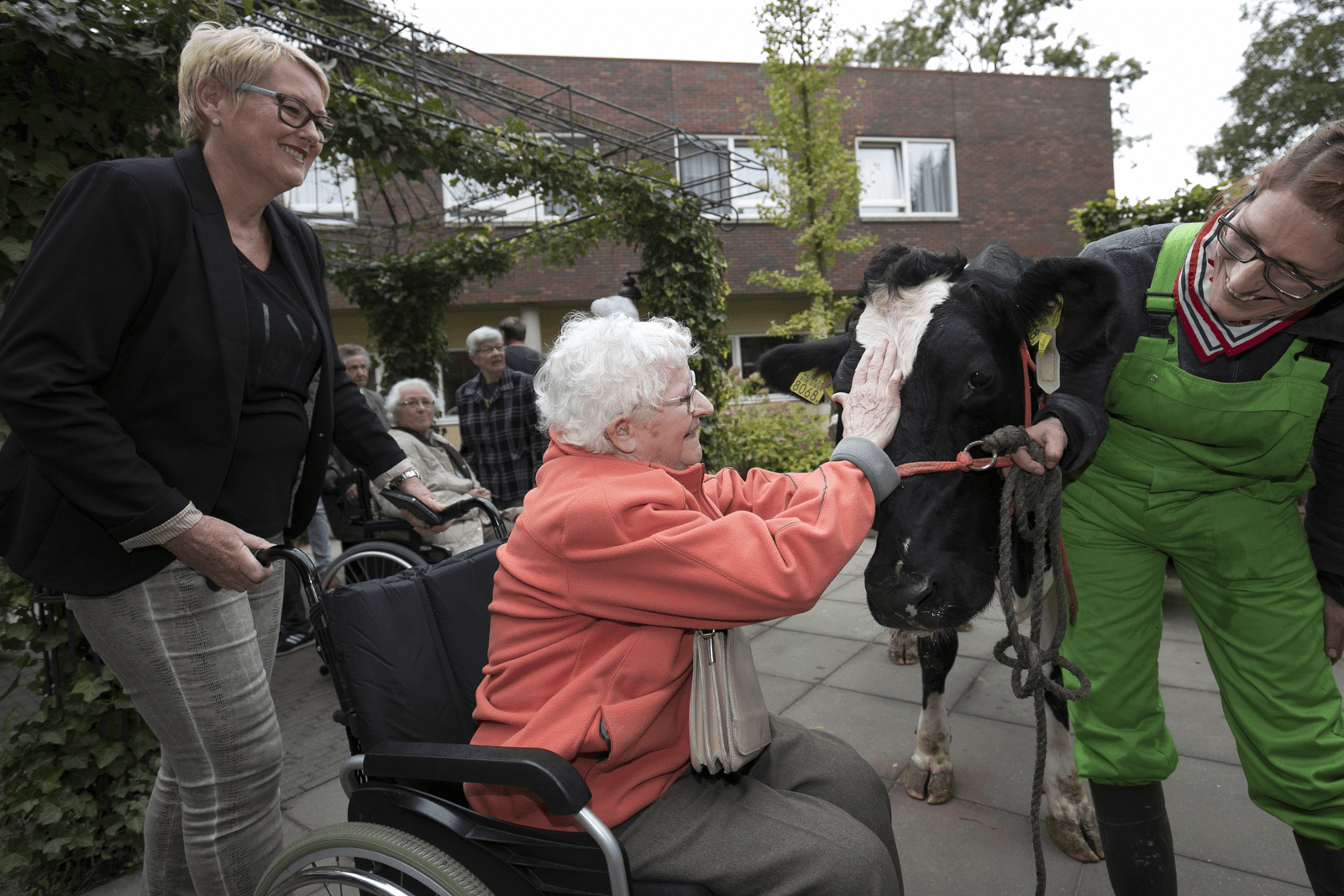 Koeknuffelen in het bejaardentehuis - Foto: Marcel van Hoorn