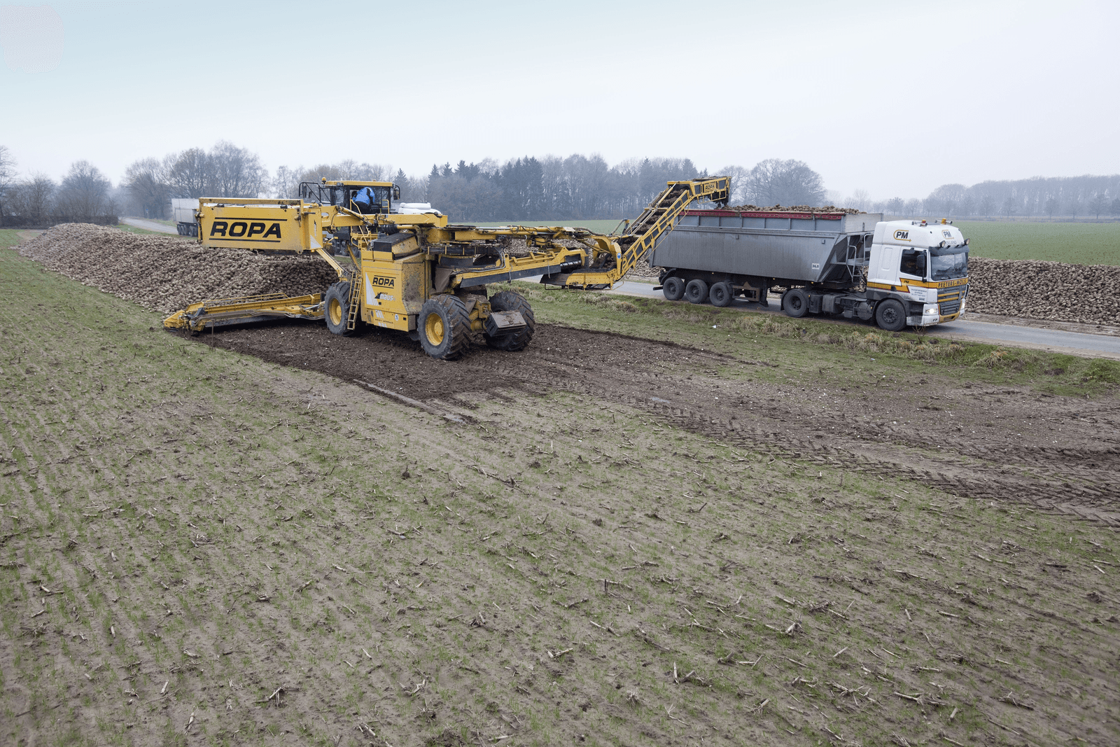 Bieten laden in Laag-Keppel (Gld.). De suikerprijs staat op het hoogste niveau in 4 jaar. - Foto: Jan Willem Schouten