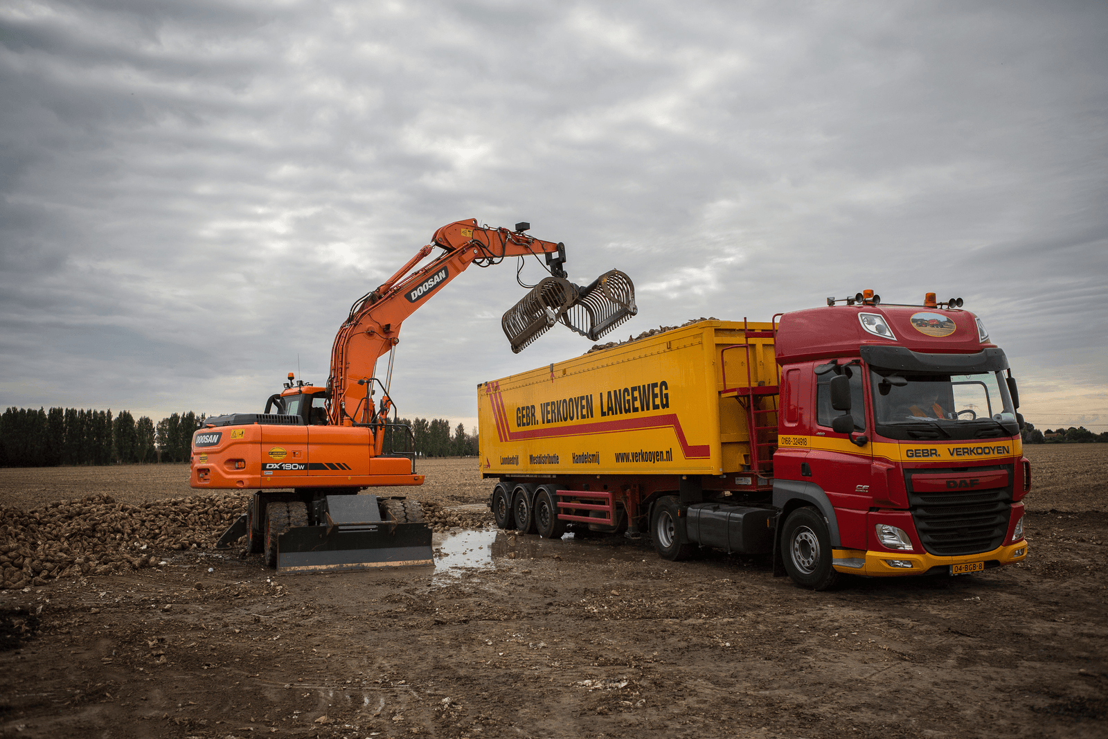Bieten laden in Heinenoord. De landelijke opbrengstverwachting ligt onder het meerjarig gemiddelde. De verschillen zijn bijzonder groot. Foto: Peter Roek