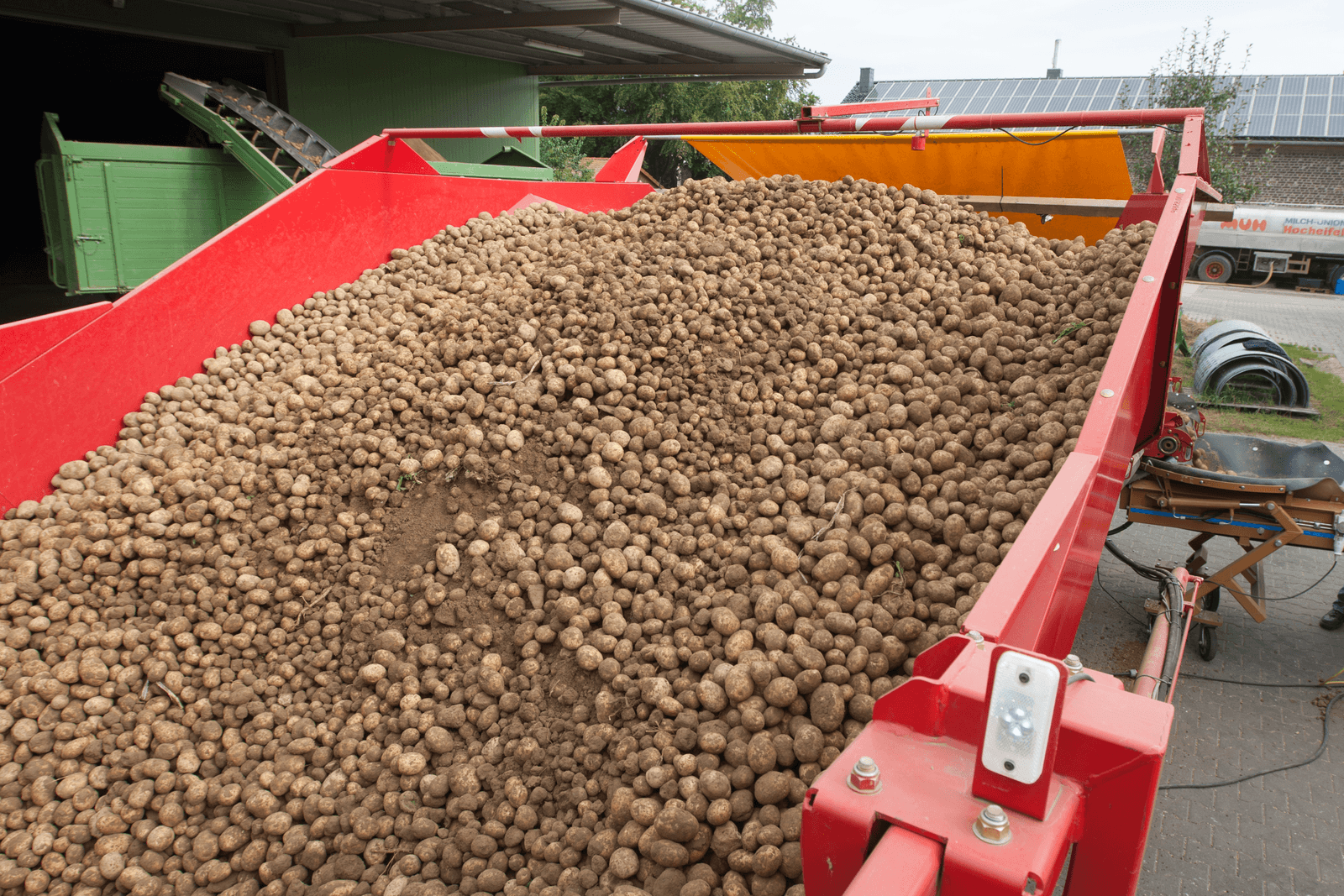 Duitse aardappeloogst 5% onder gemiddelde - Foto: Ronald Hissink