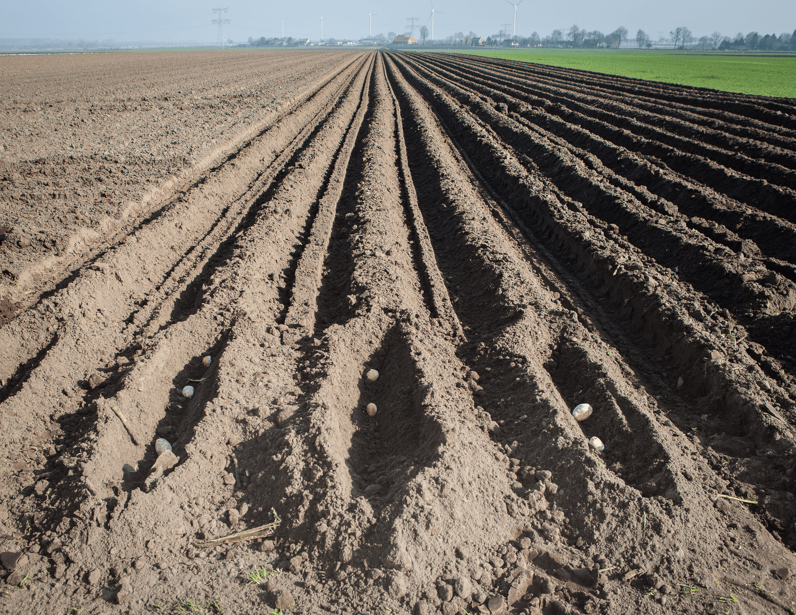 9,6% pootgoed in klasse verlaagd - Foto: Peter Roek