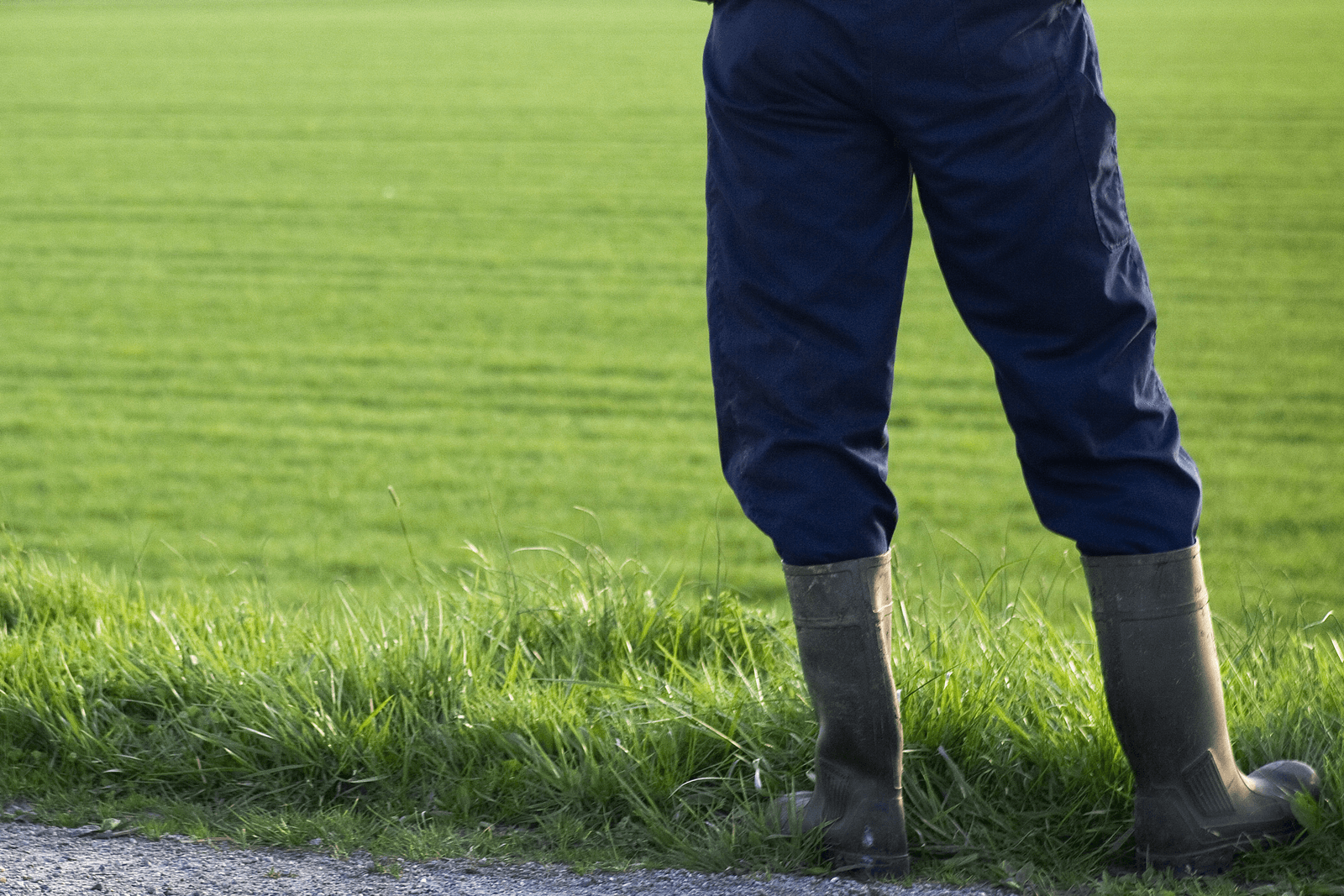 Van landbouw- naar voedselbeleid: waar blijft de boer? - Foto: Jan Willem Schouten
