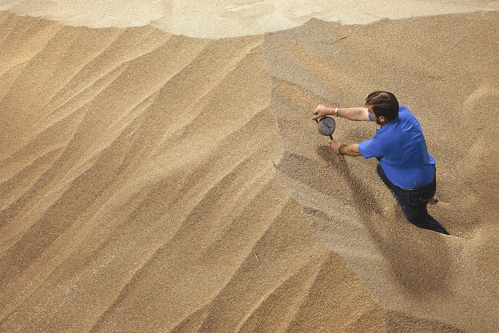 IGC: wereld heeft heel veel graan - Foto: Theo Tangelder