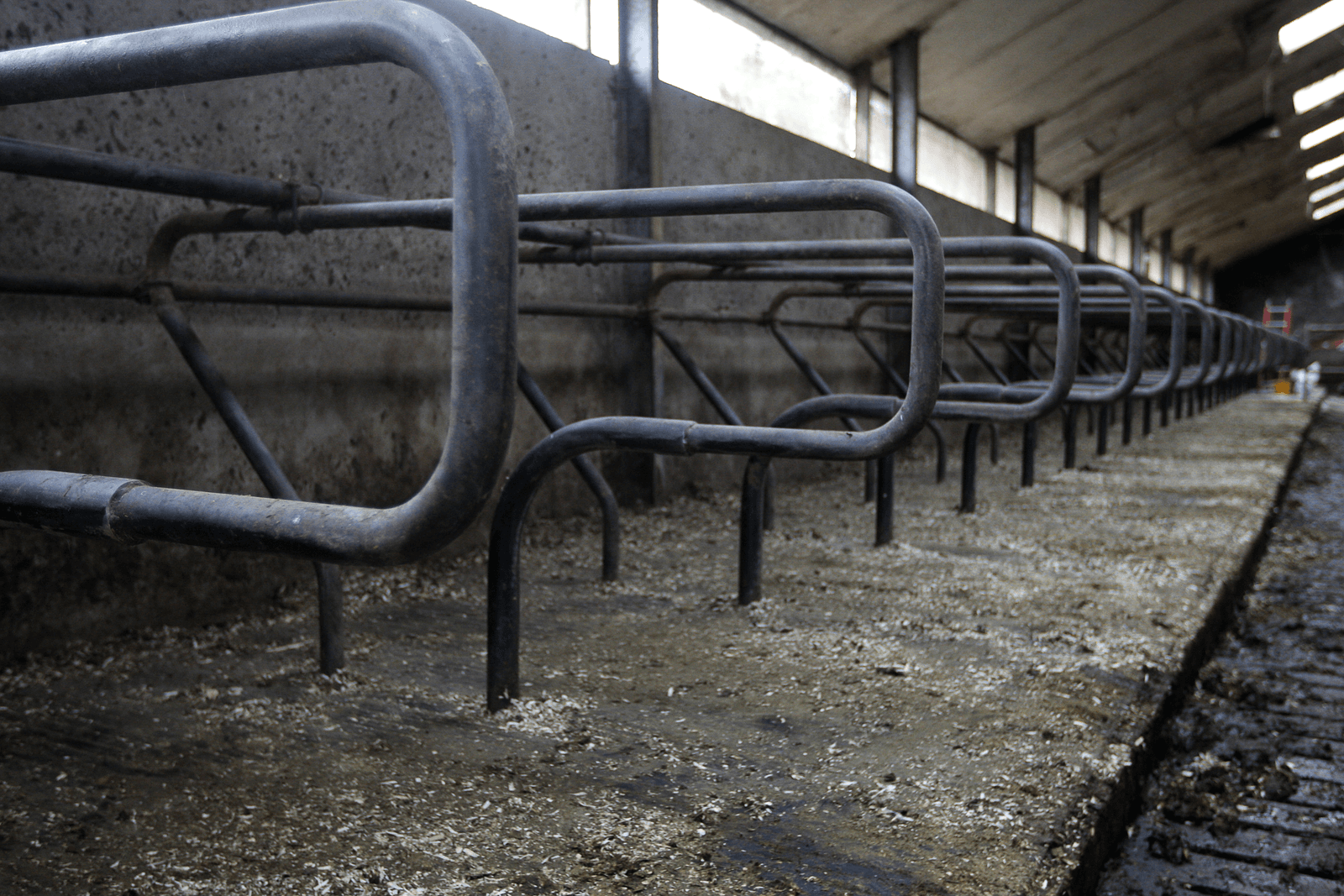 Wat als je geen boer meer kunt zijn? - Foto: Jan Willem Schouten