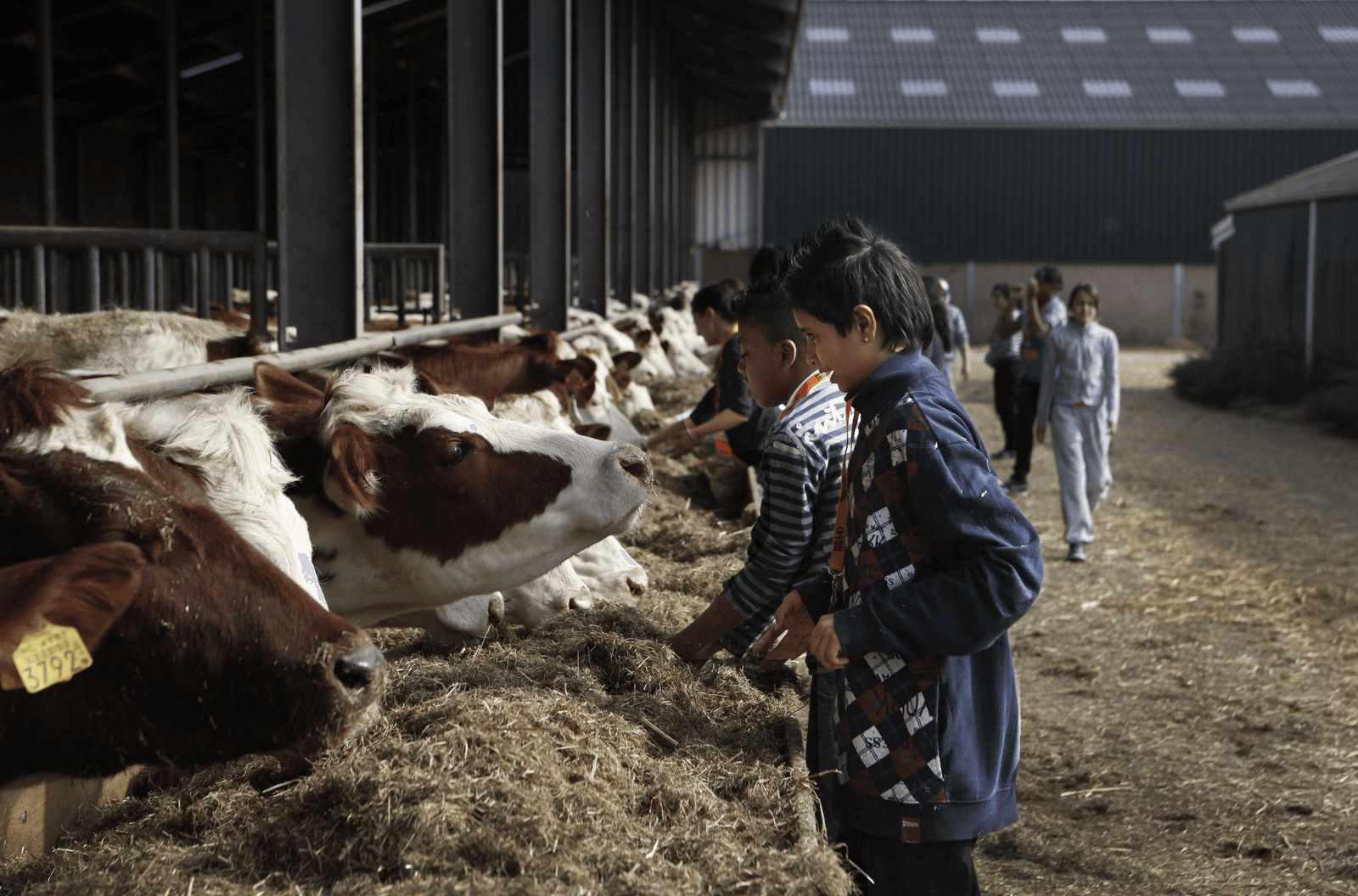 Foto: Roel Dijkstra