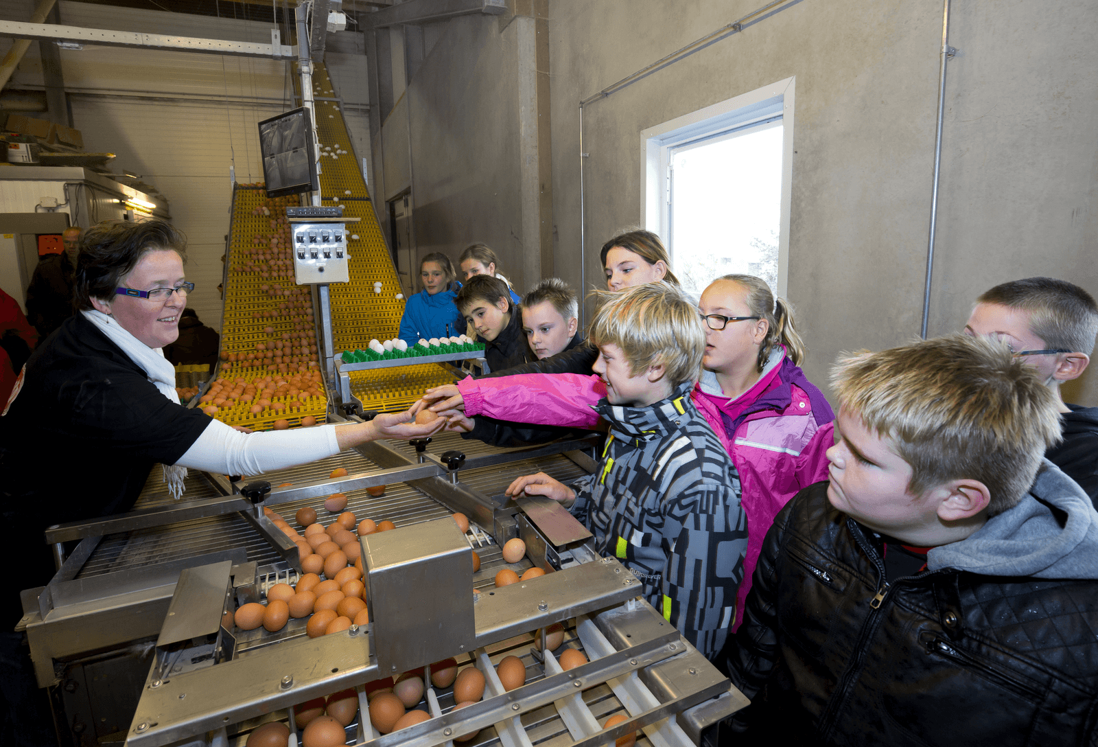Het kabinet trekt ¬ 5,7 miljoen uit voor een uitgebreid totaalpakket voor voedseleducatie. - Foto: Ruud Ploeg