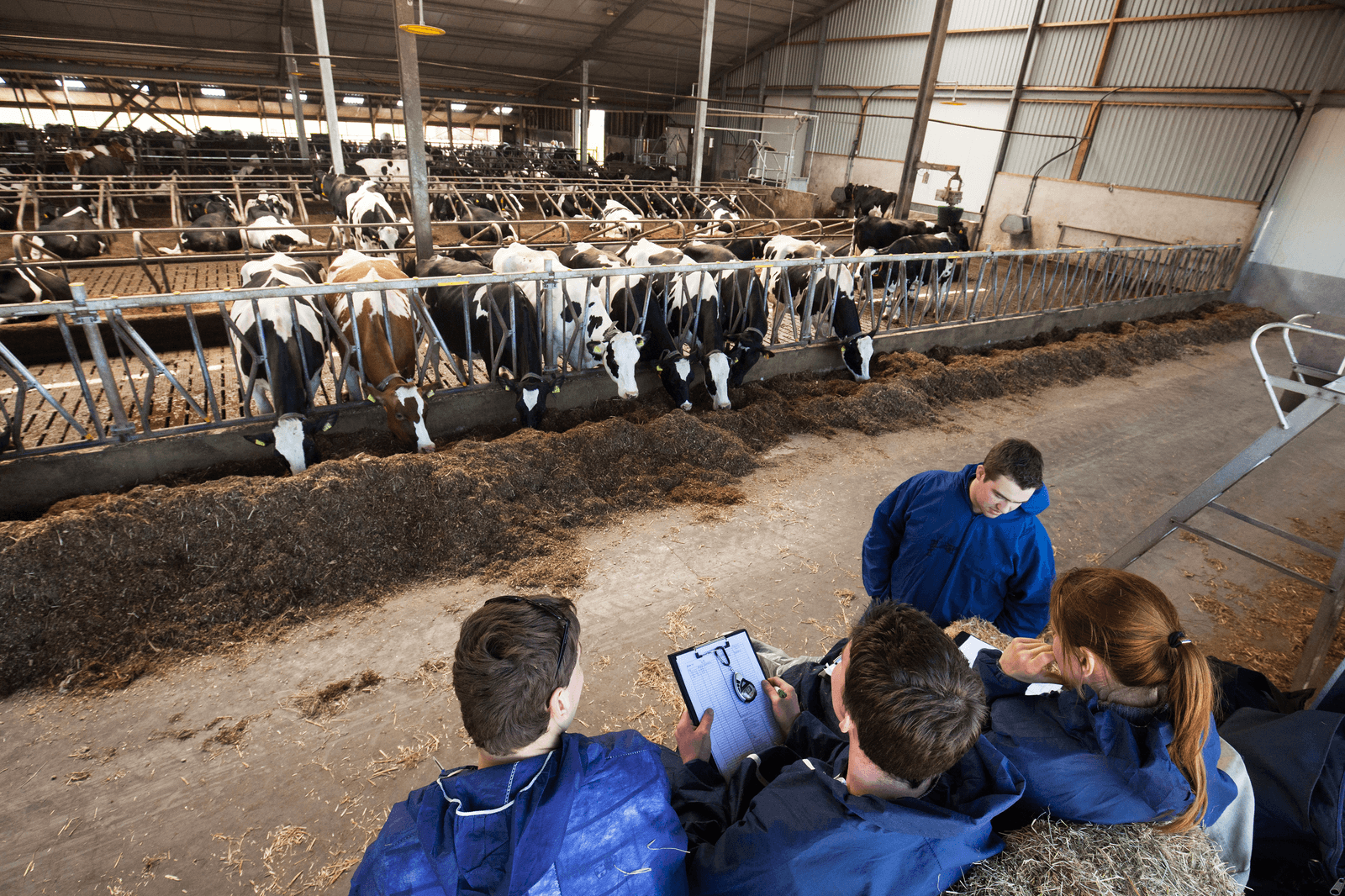 Inhaalslag nodig in het landbouwonderwijs - Foto: Herbert Wiggerman