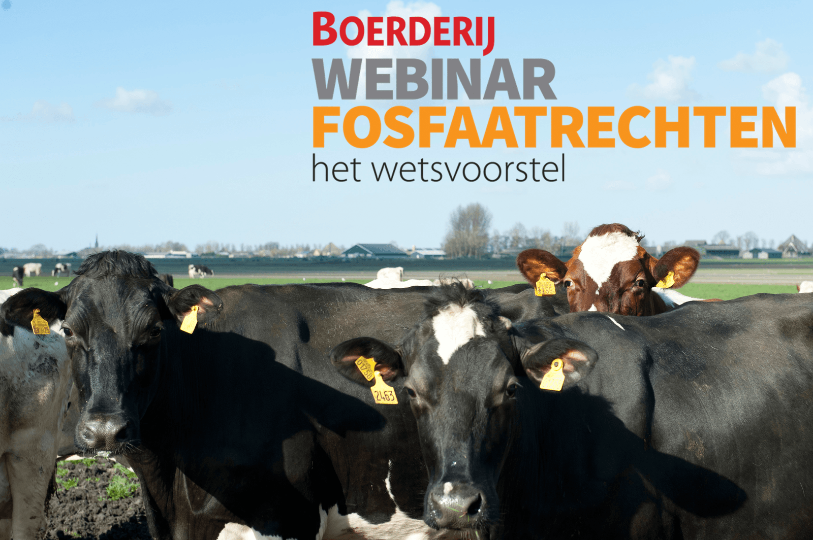 Meld u gratis aan voor het webinar - Foto: Fotostudio Wick Natzijl