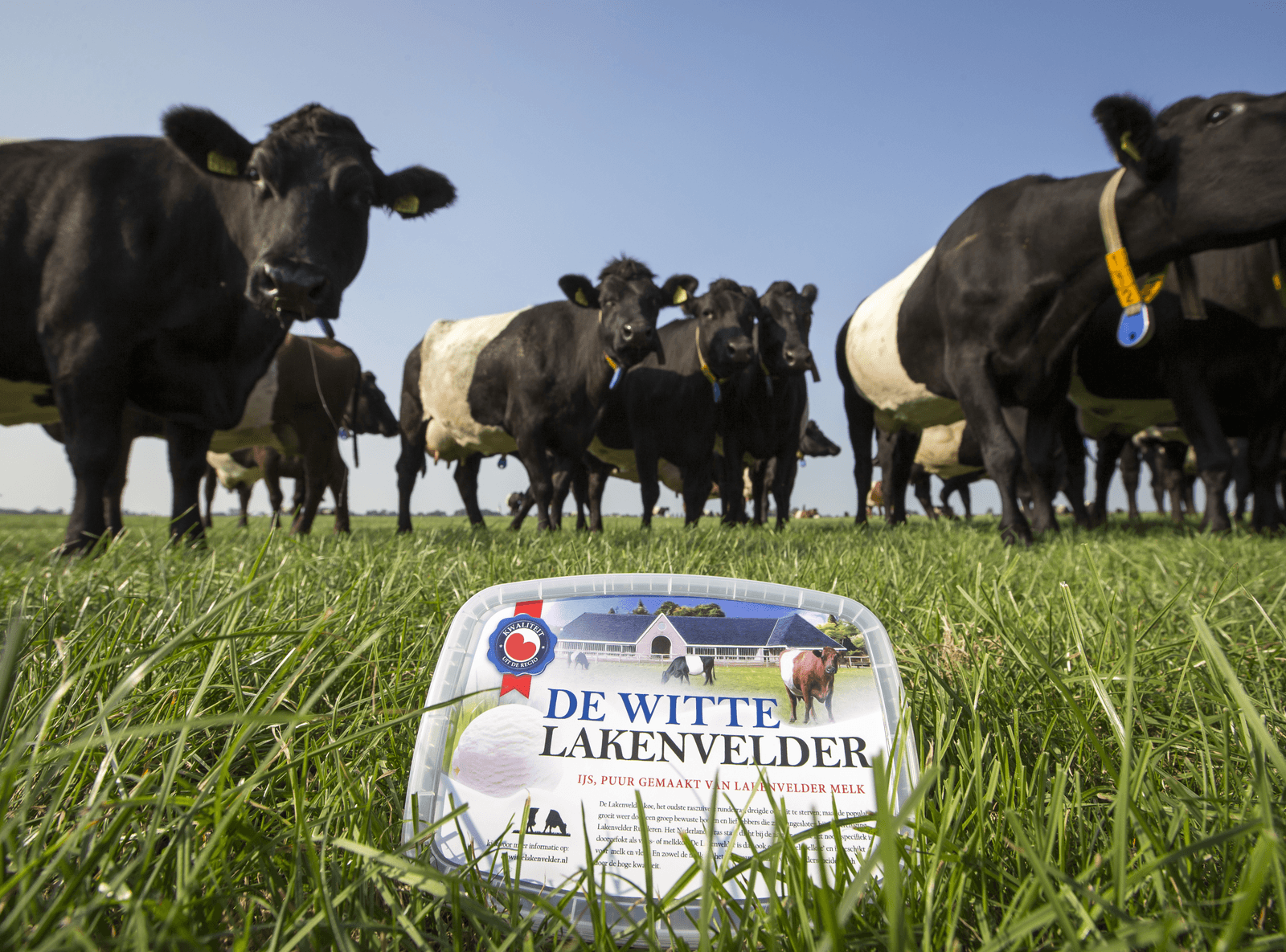 Foto: Anne van der Woude
