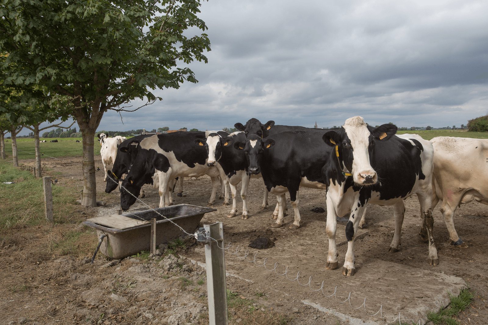 De landbouw heeft nieuwe ideeën nodig - Foto: Peter Roek