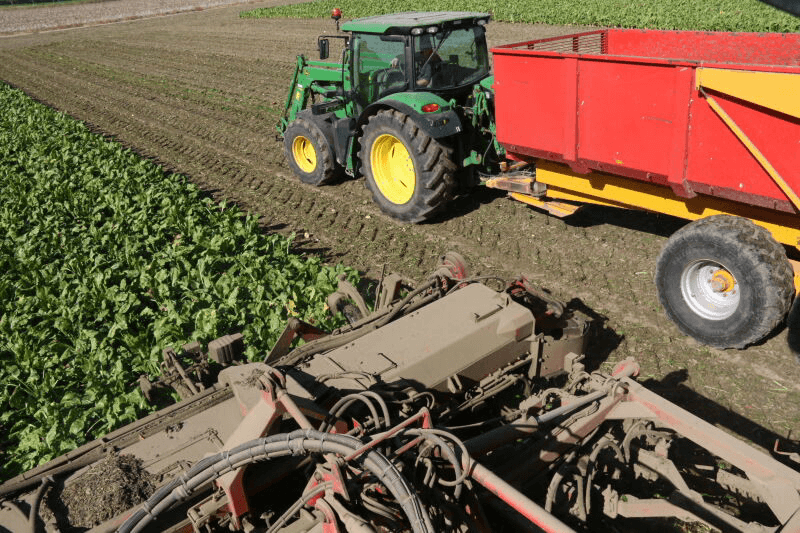 Schoon bieten rooien op zware grond - Foto: Anton Dingemanse