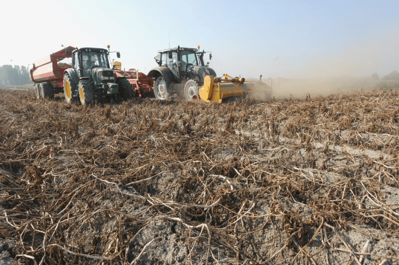 Na de regen direct aardappelen rooien op Walcheren - Foto: Anton Dingemanse
