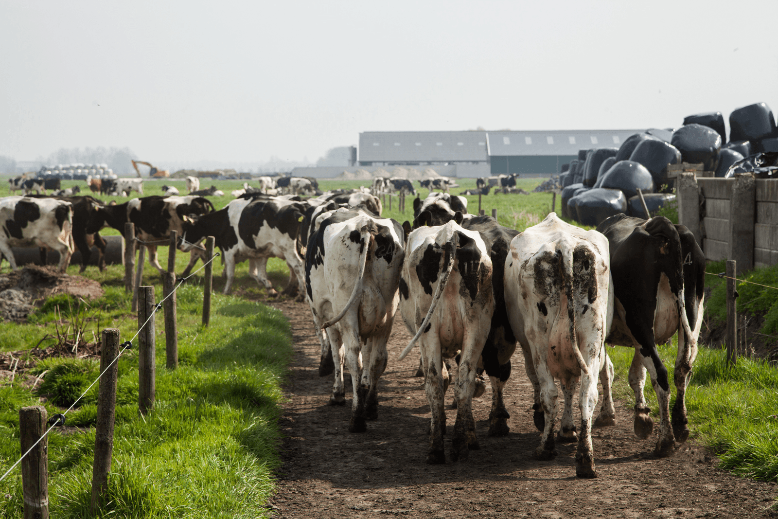 Foto: Herbert Wiggerman