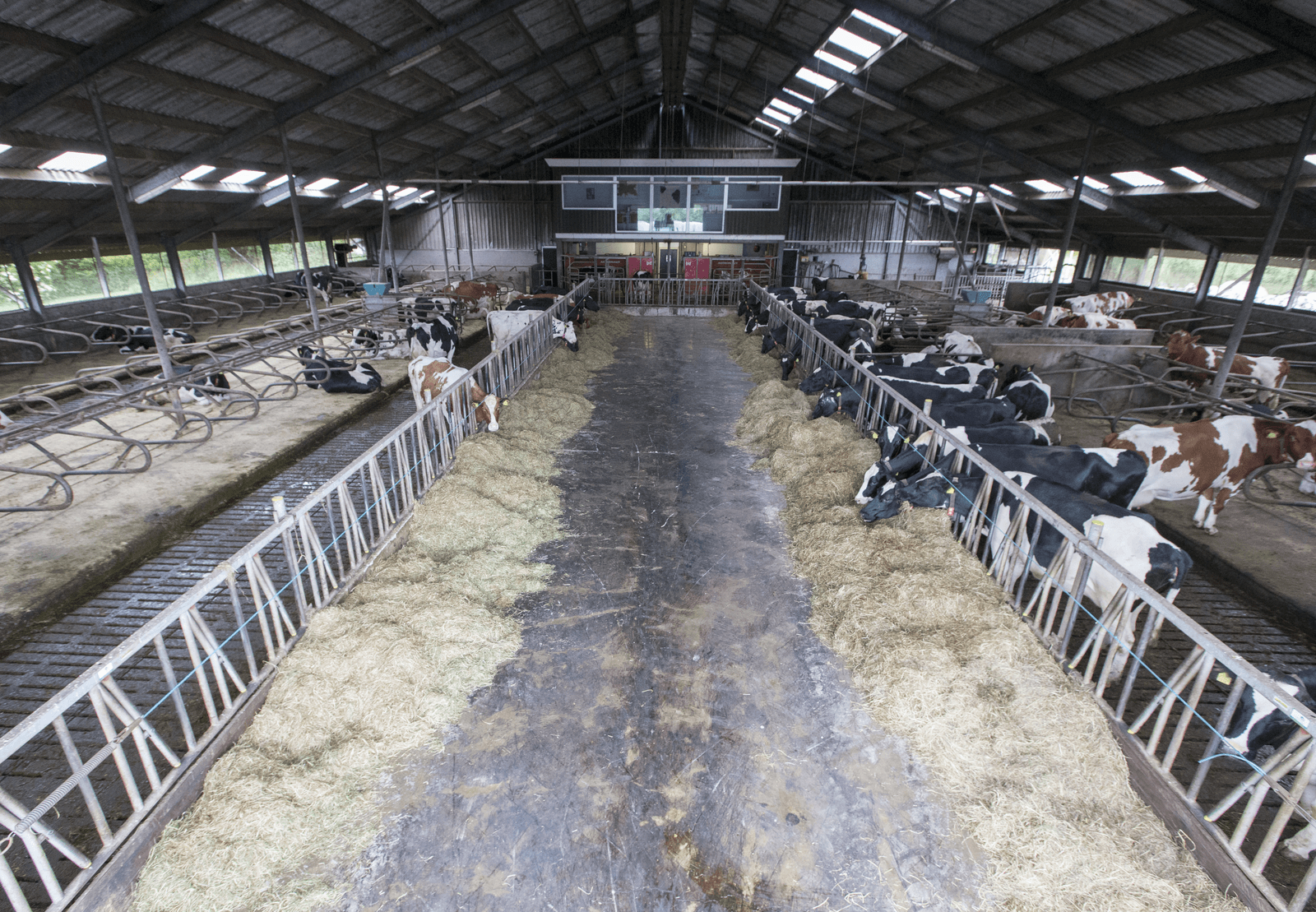 Extensief bedrijf ontzien - Foto: Anne van der Woude
