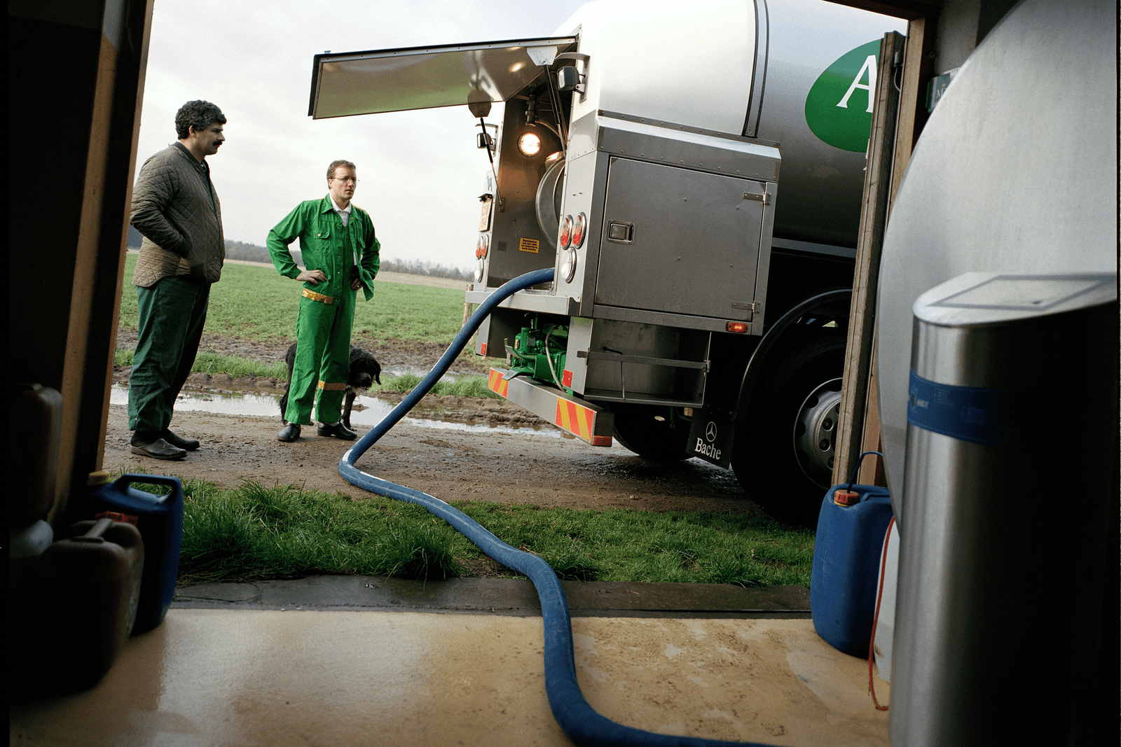 Arla en Fonterra verhogen melkprijs - Foto: Arla