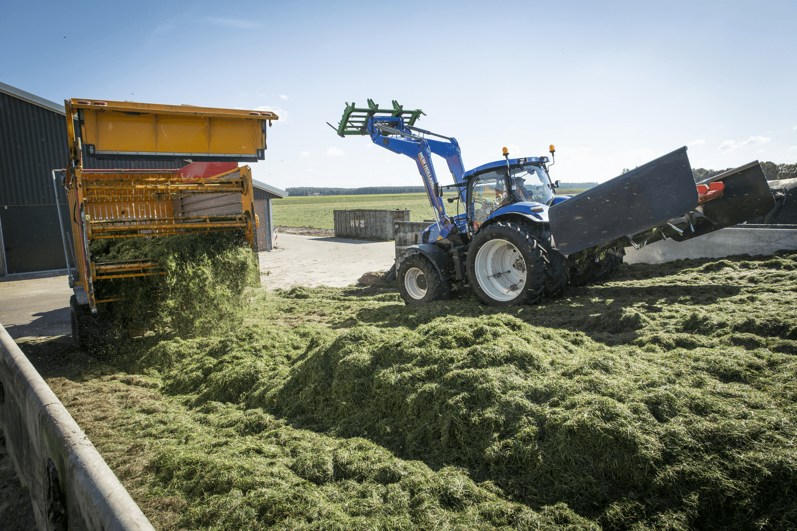 Kwaliteit zomerkuil valt tegen; lage voederwaarde - Foto: Koos Groenewold