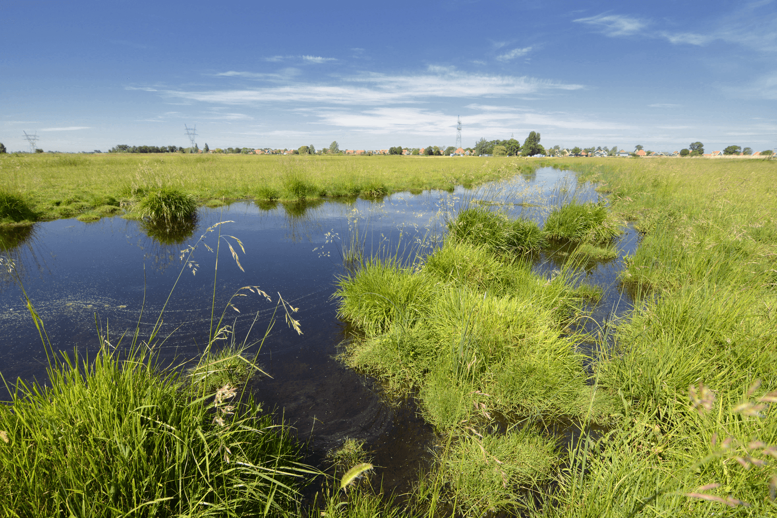 Staatsbosbeheer kiest voor pachter met certificaat - Foto: Hans Hut