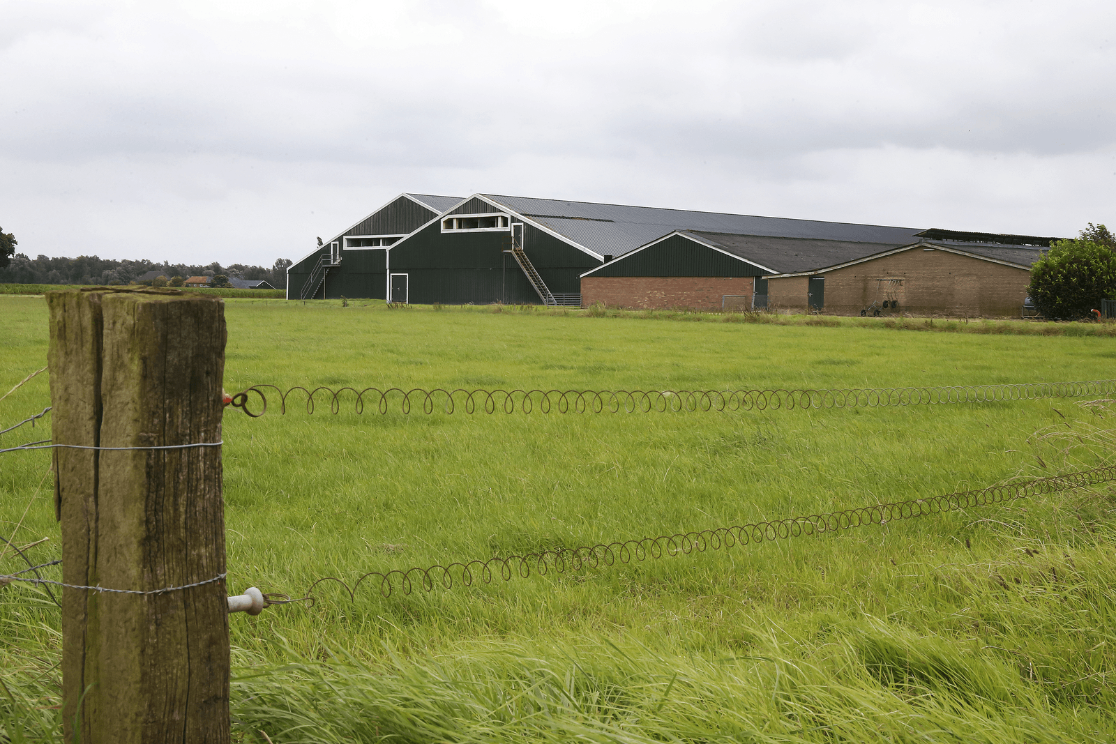 Een geïnteresseerde koper heeft ¬ 750.000 geboden op een zeugenbedrijf in Vethuizen. - Foto: Hans Prinsen
