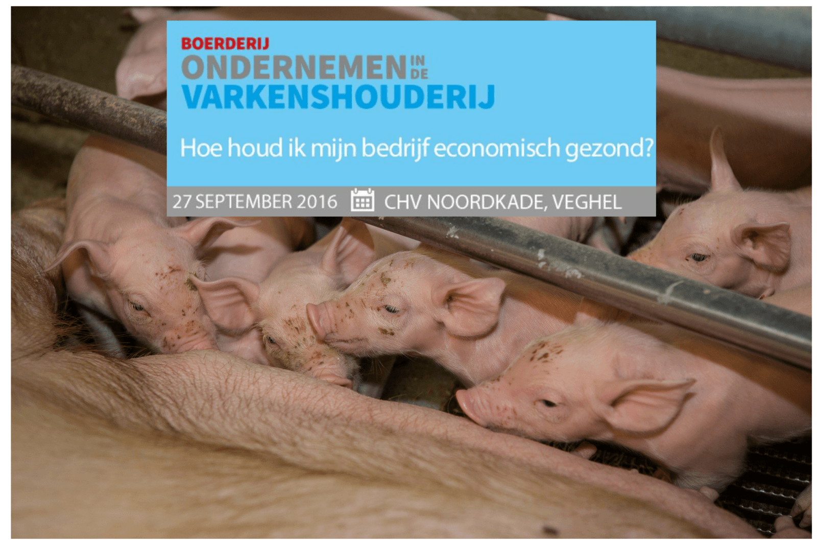 Foto: Peter Roek