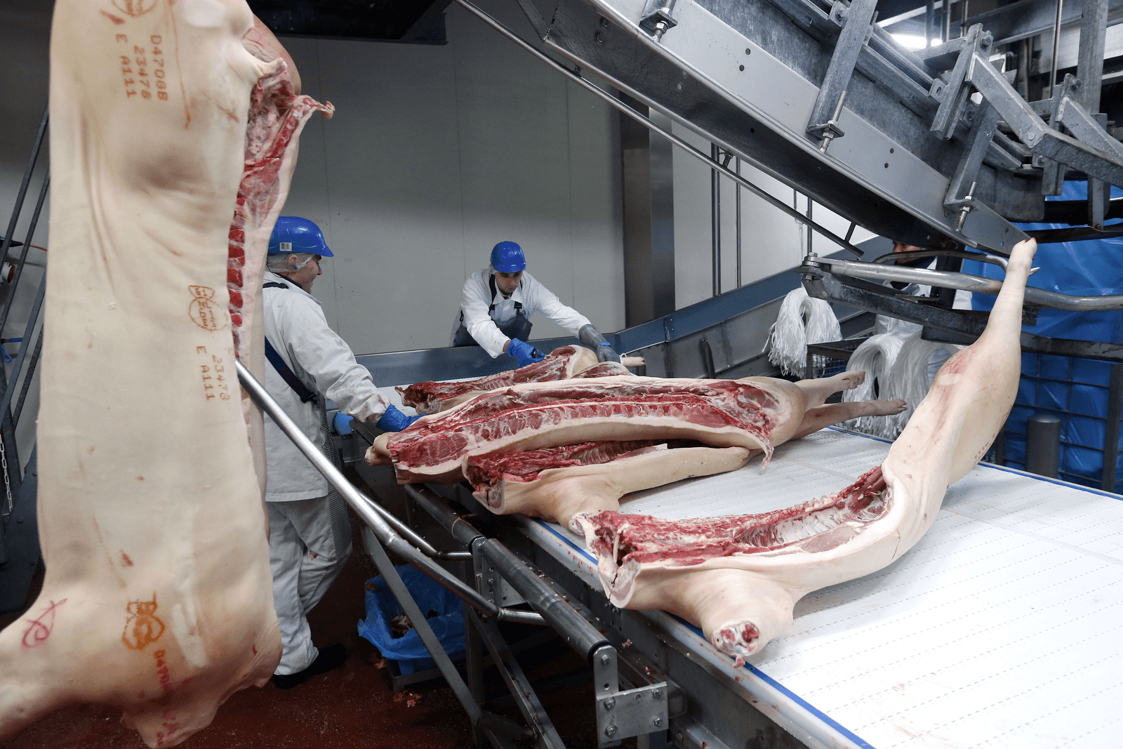 Varkensvleesimport Japan stijgt met 10% - Foto: Bert Jansen