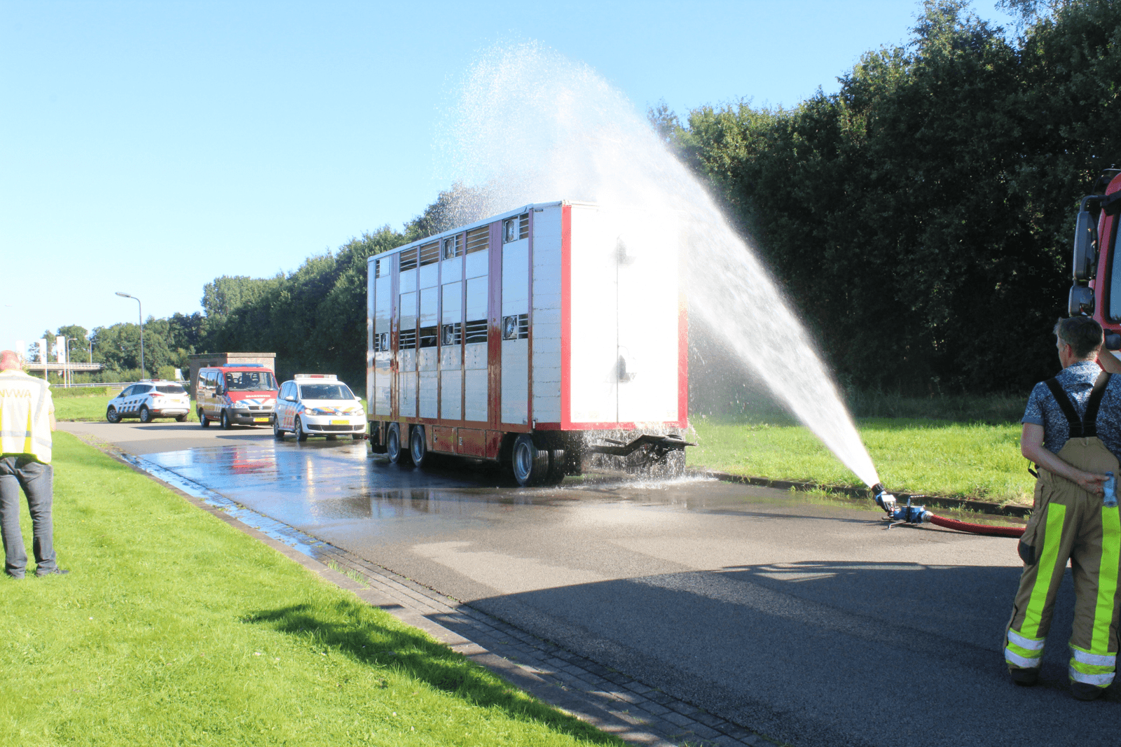 PvdA-Kamerleden Sjoera Dikkers en Tjeerd van Dekken willen dat ook vrachtwagens bestemd voor diertransport op korte afstanden worden aangepast voor transport bij hoge temperaturen. Op de foto koelt de brandweer van Ureterp een aanhanger met vee. - Foto: AS Media