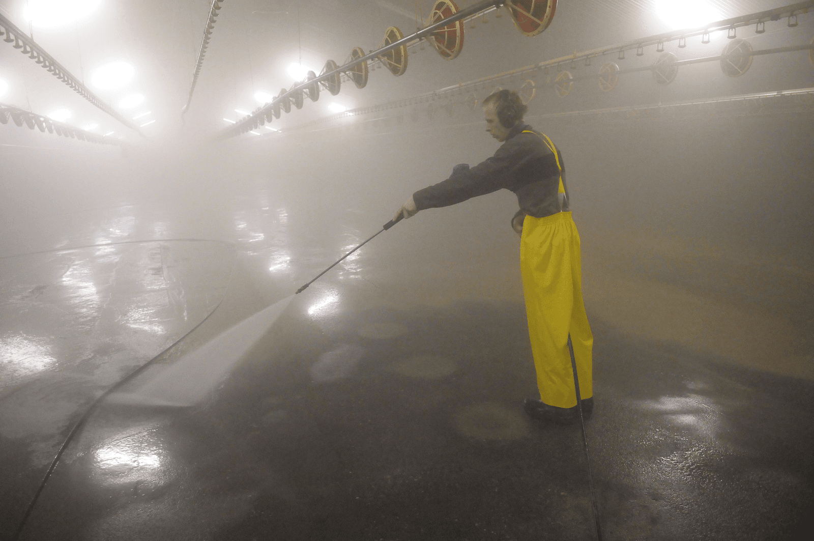 Wanneer ongewenste bacteriën overleefden, bleek dit aan andere zaken te wijten dan resistentie. Zoals aan onvoldoende reiniging voorafgaand aan desinfectie. - Foto: Penn Communicatie