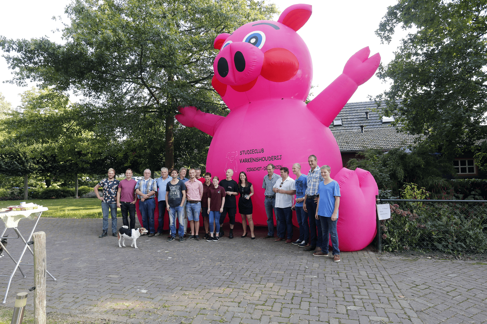 De onthulling van een mega opblaasvarken op het varkensbedrijf van Pieter Vlemminx in Oirschot. - Foto: Bert Jansen