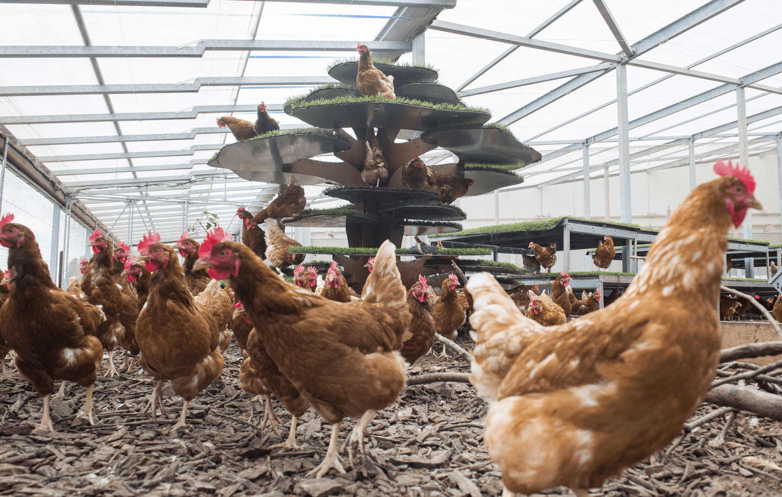 Foto: Frank Uijlenbroek