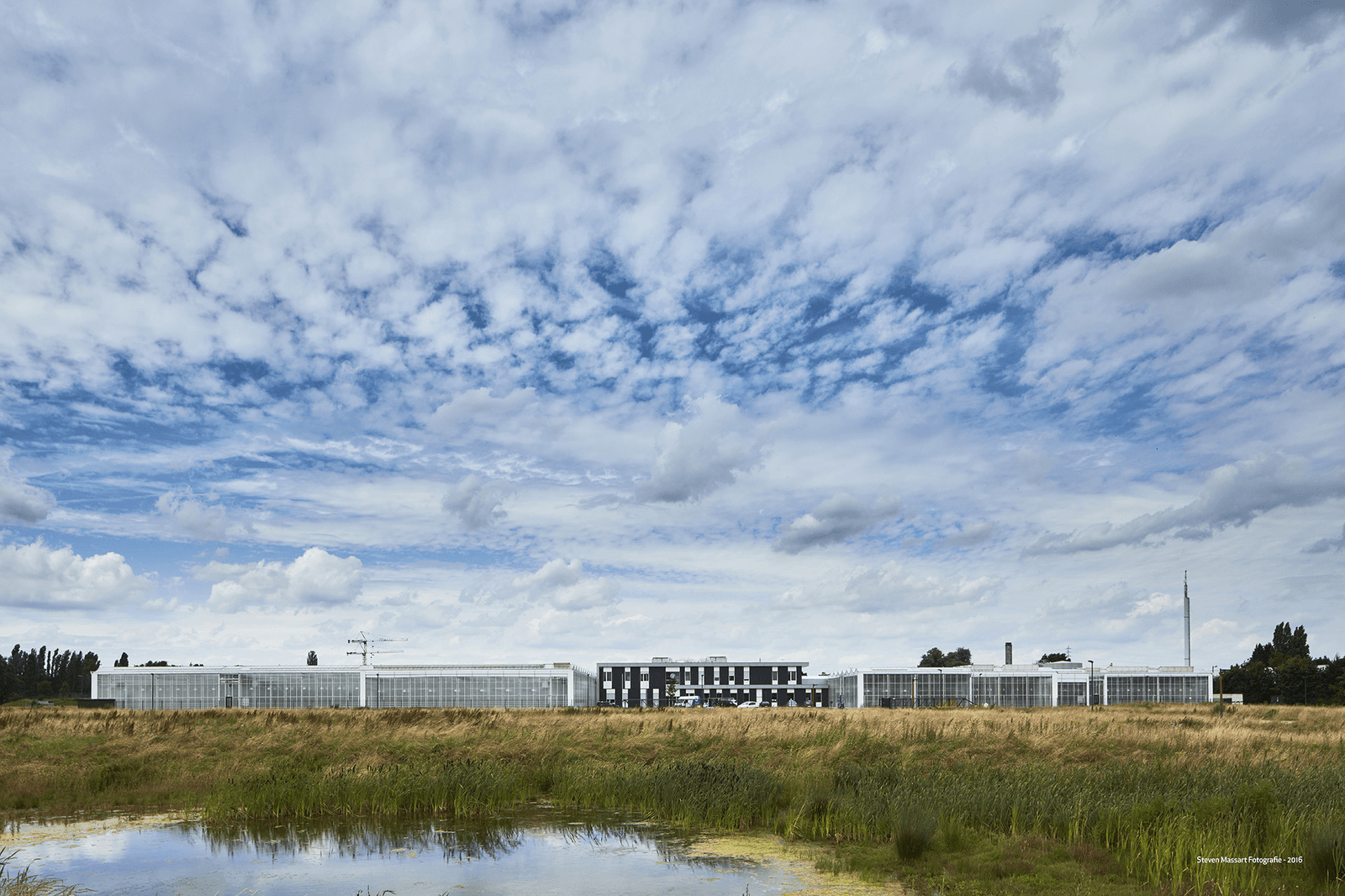 SESvanderHave opent nieuw R&D onderzoekcentrum - Foto: SESVanderHave