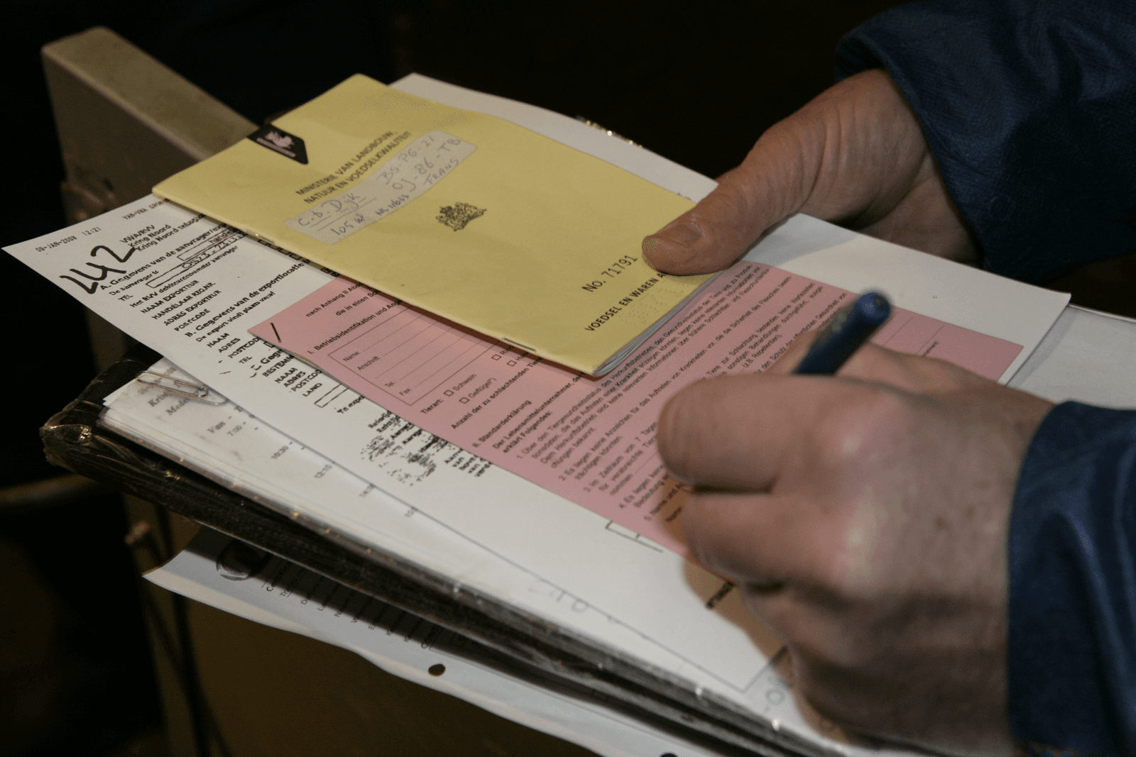 Het aanvragen en uitvoeren van klepkeuringen voor exportvarkens loopt soepeler dan een maand geleden. - Foto: Henk Riswick