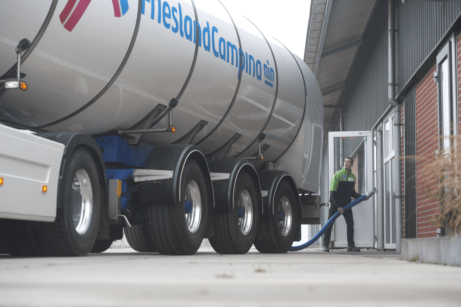 FrieslandCampina verhoogt melkprijs - Foto: ANP