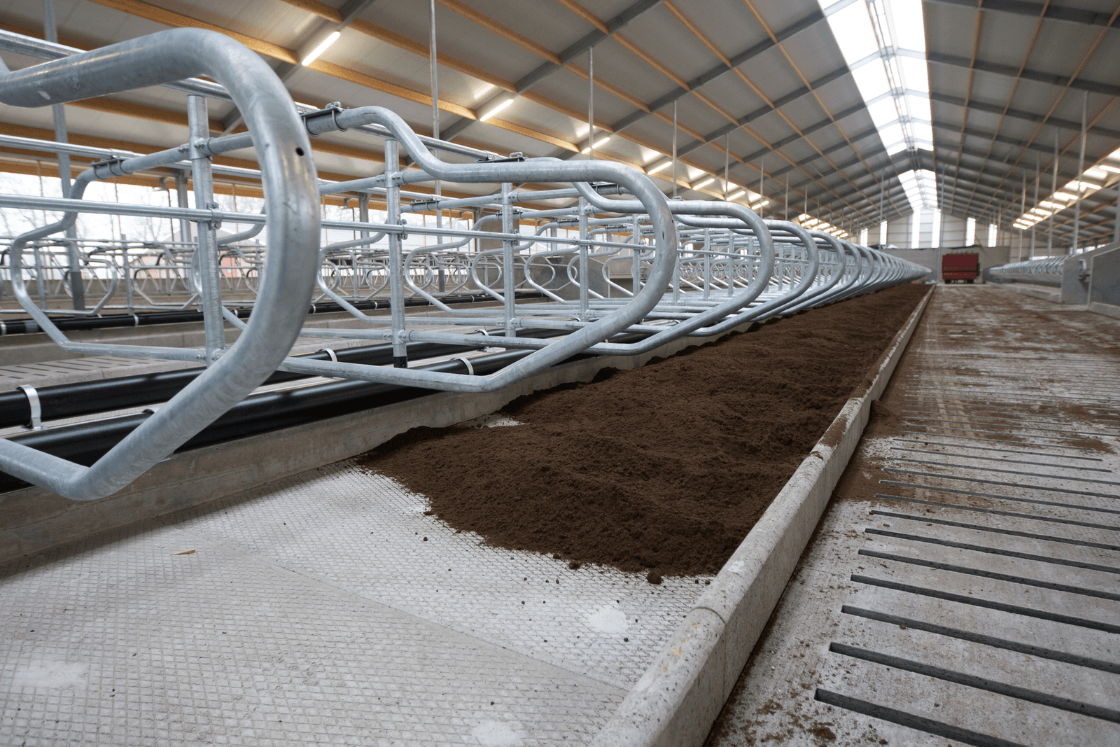 De nieuwe ligboxenstal van het melkveebedrijf in Mariënheem, net na de bouw in 2014. Foto: Ronald Hissink