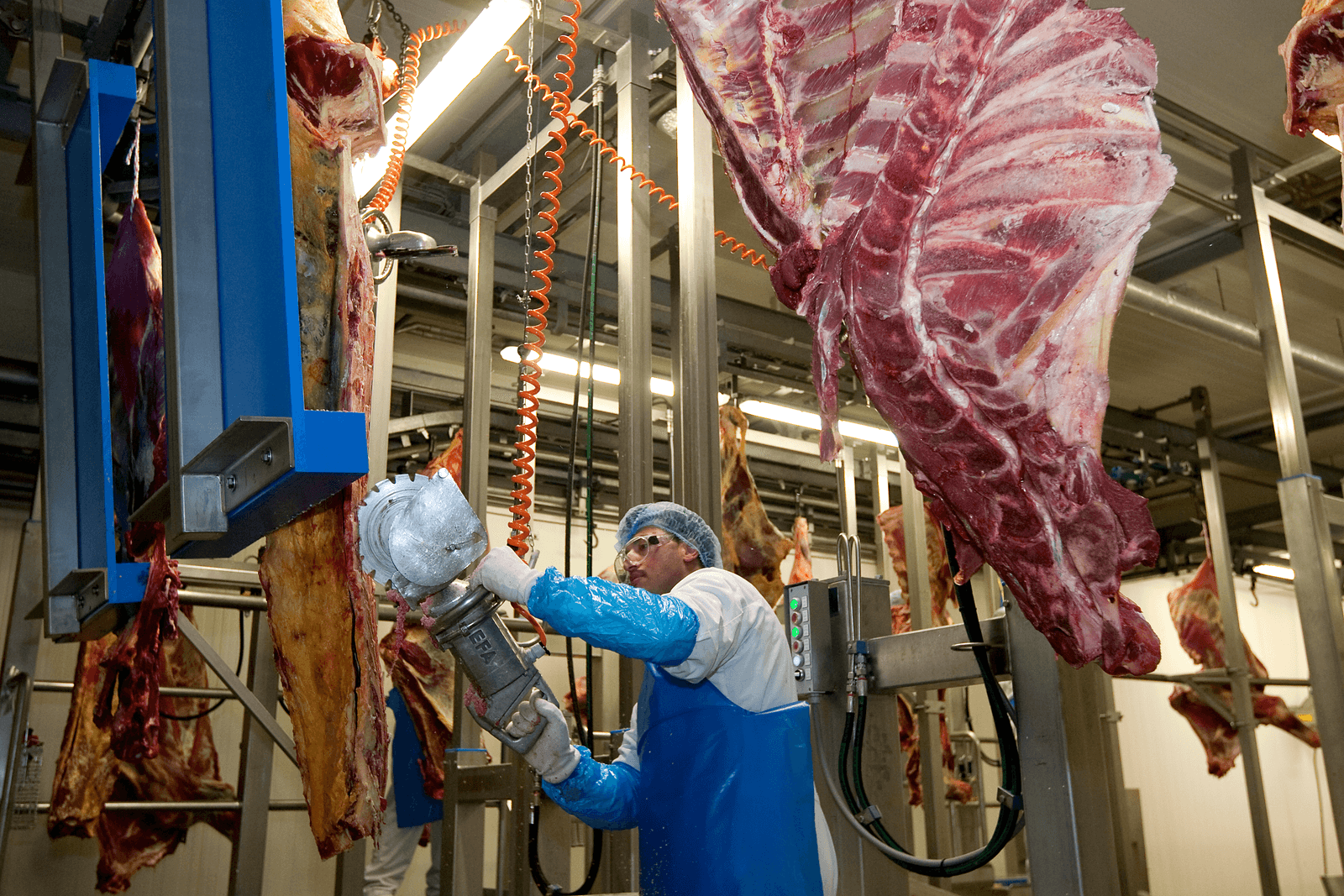 De Europese Commissie staat toe dat melkvee met een slachtpremie versneld uit productie wordt gehaald. - Foto: Ronald Hissink