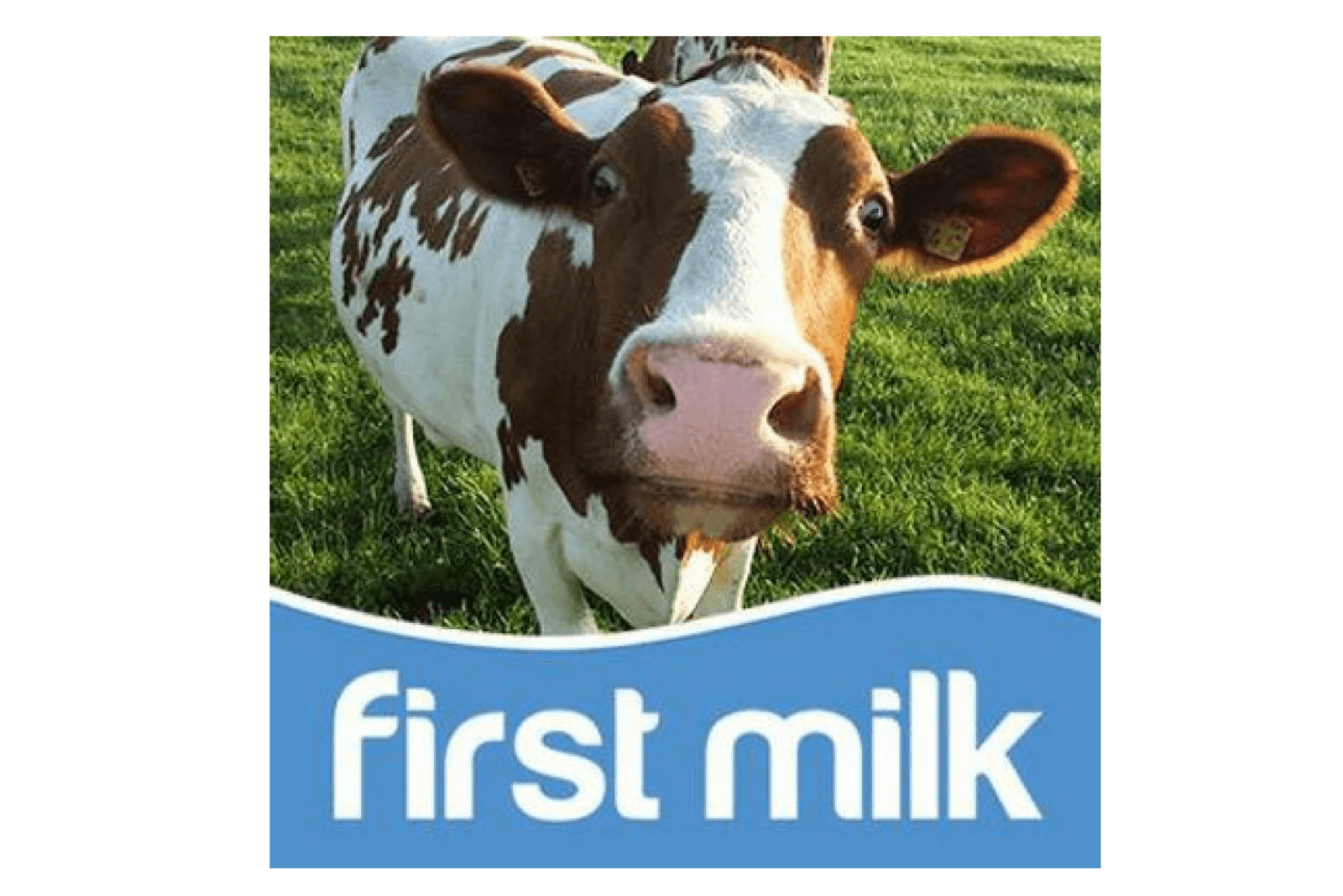 Foto: First Milk