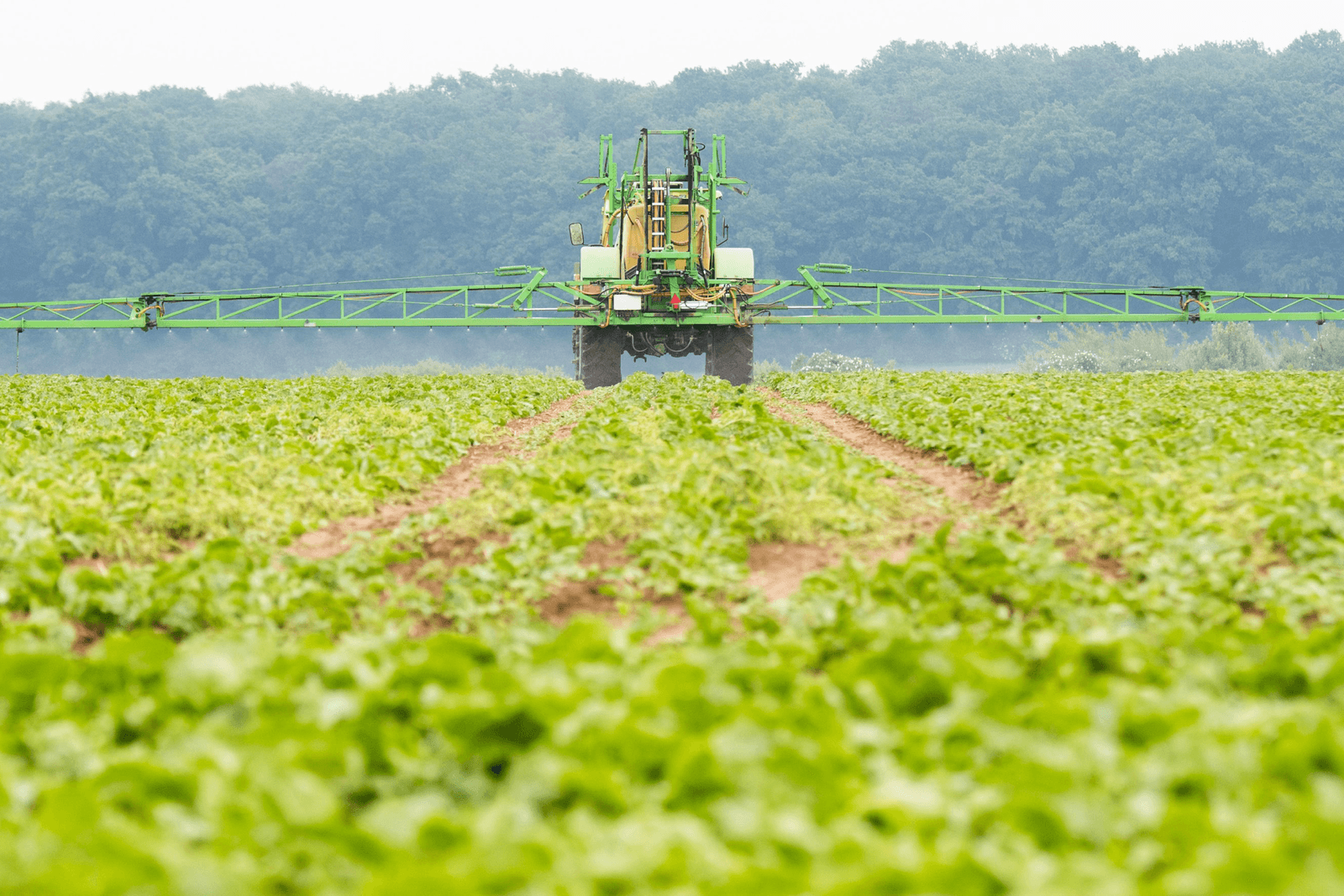 Boeren kennen gevaren bestrijdingsmiddelen niet - Foto: ANP