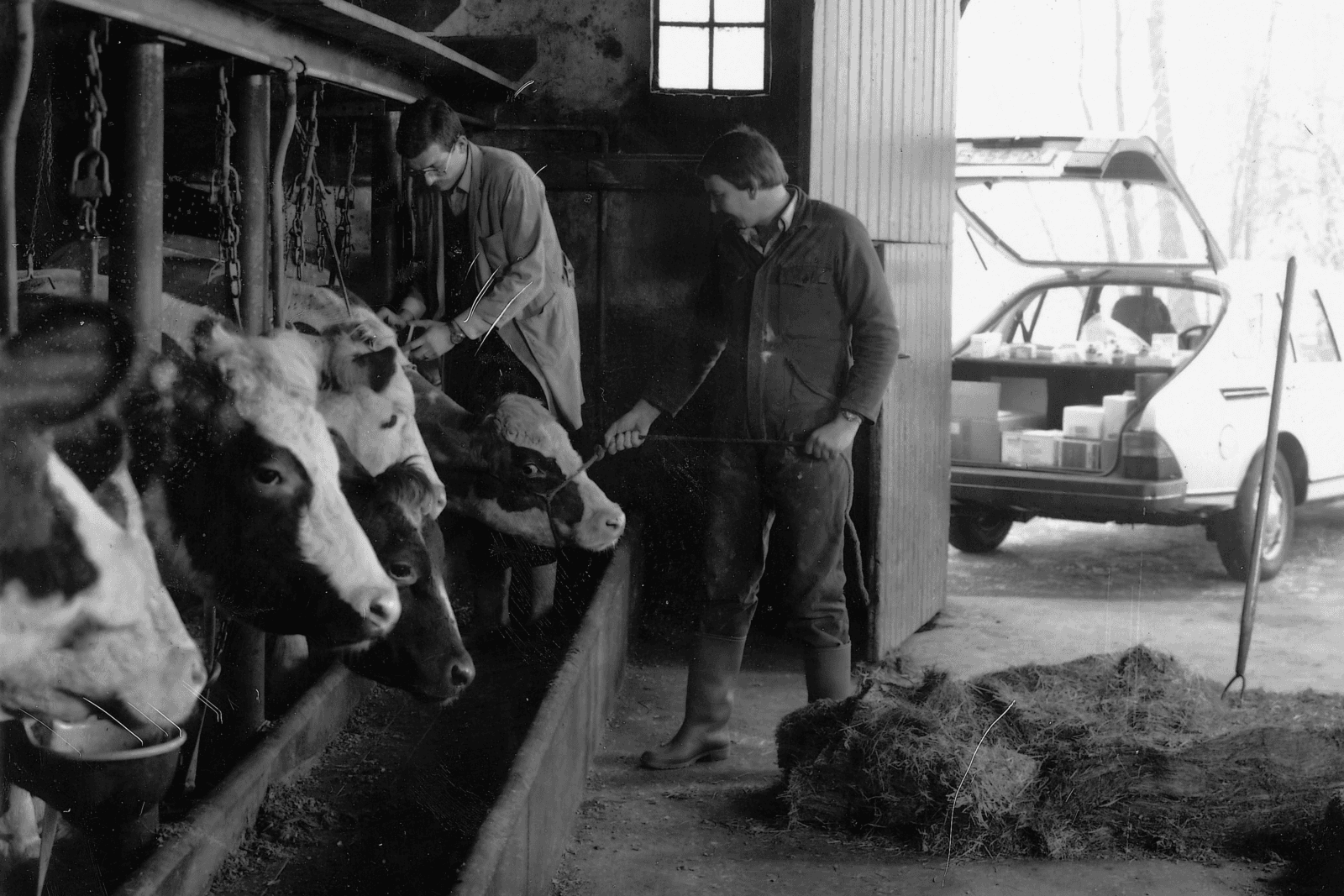 Technische resultaten: agrarisch spektakel - Foto: Boerderij