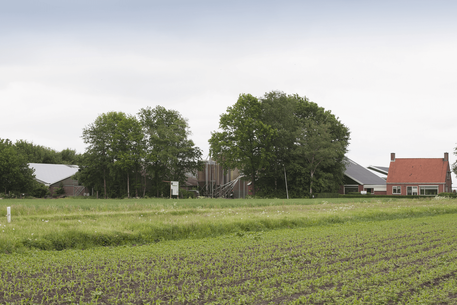 LTO-factsheet gezondheidseffecten veehouderij - Foto: Hans Banus