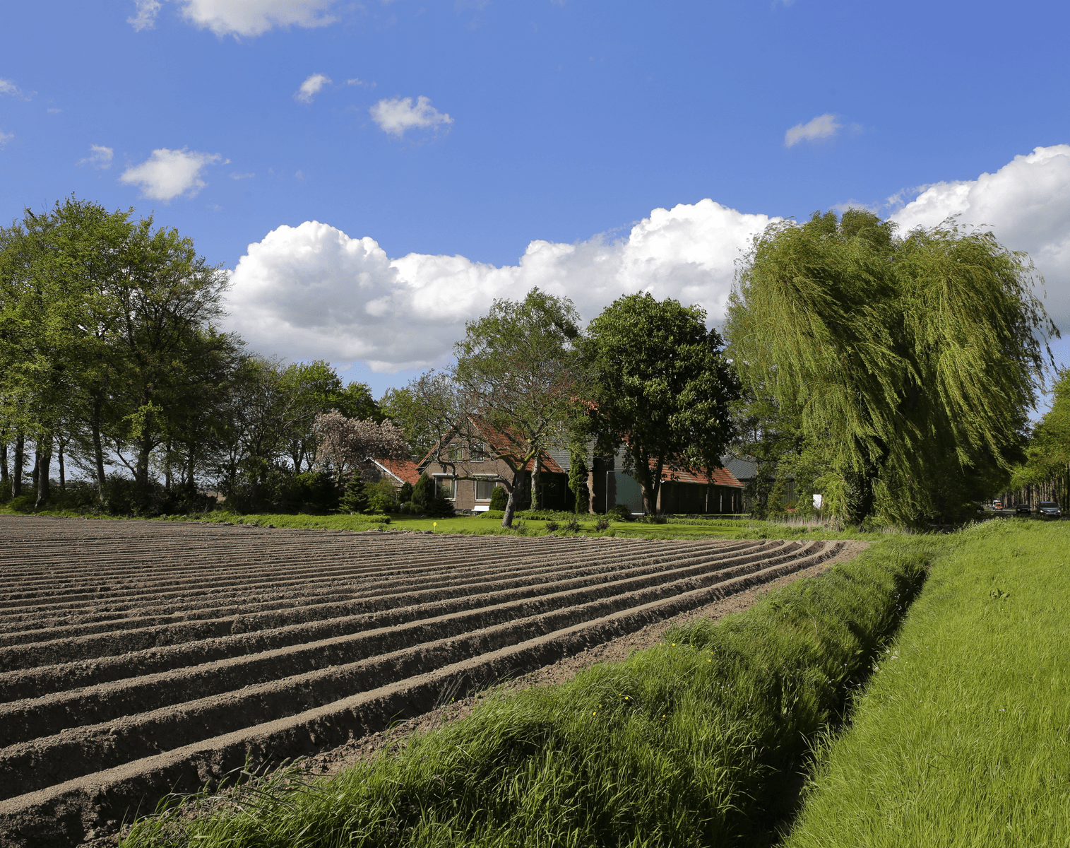 EU-landbouwbeleid: innovatie moet oplossing bieden - Foto: Ruud Ploeg